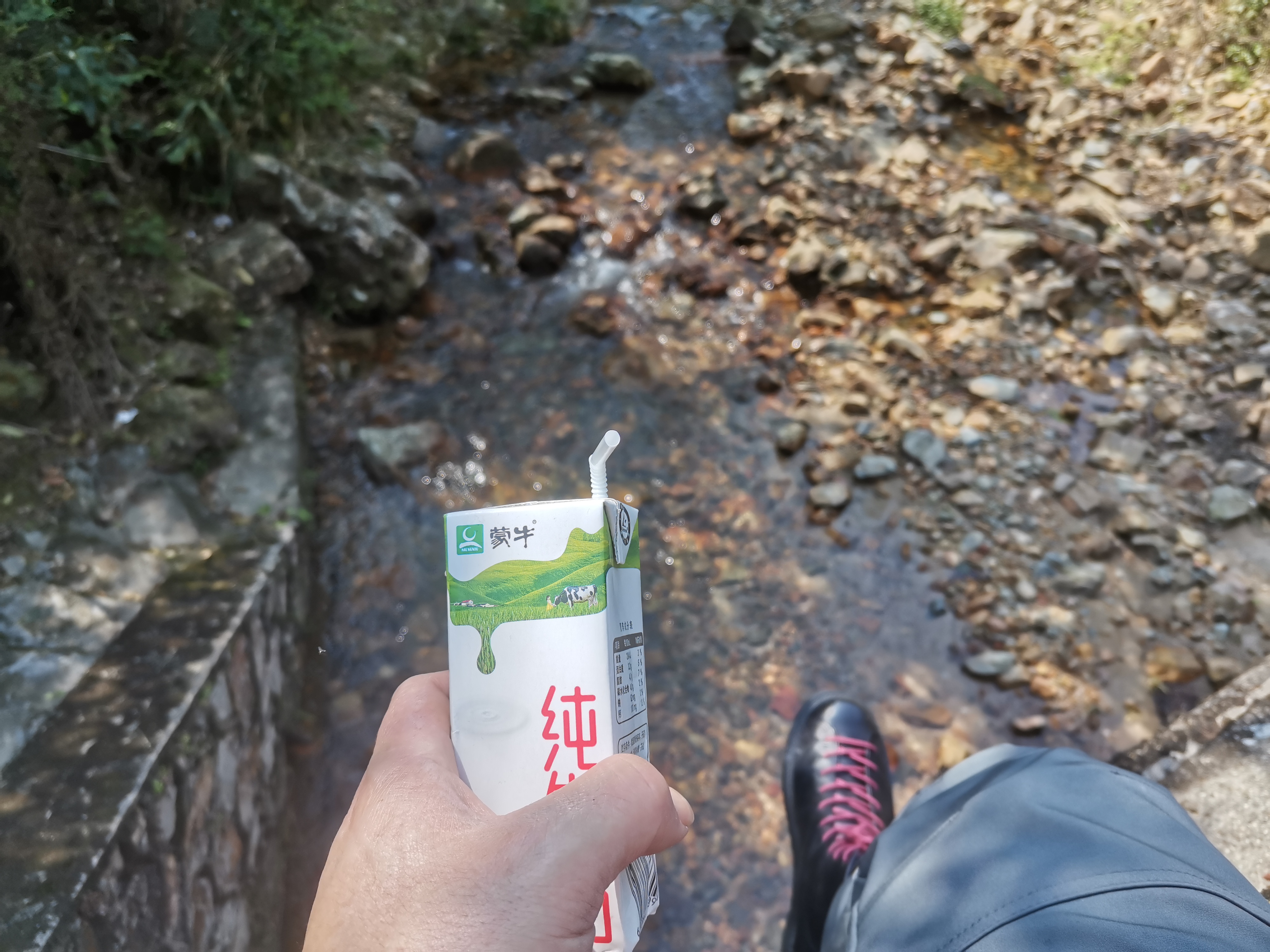 螺壳山森林公园旅行图片 3