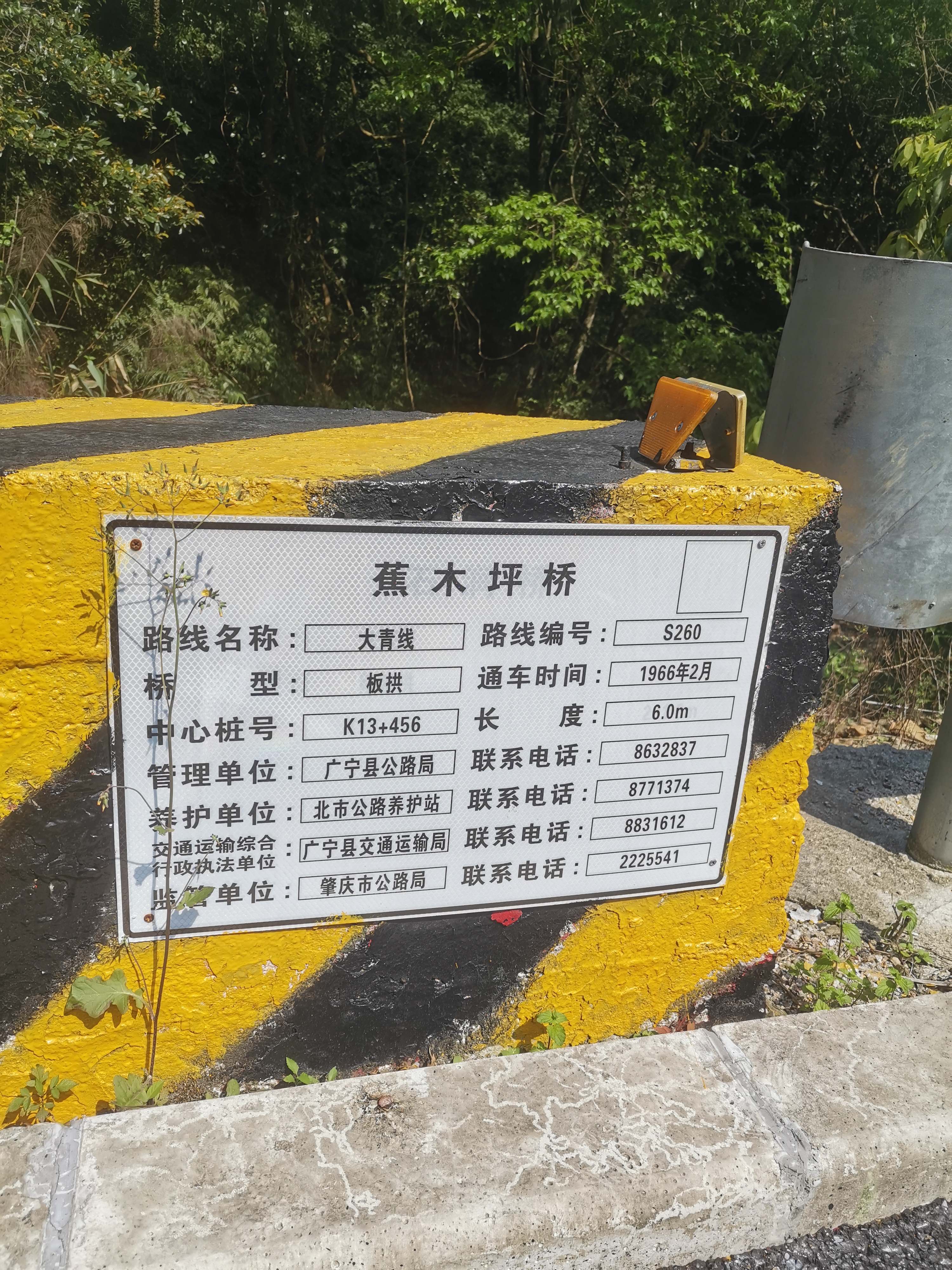螺壳山森林公园旅行图片 2