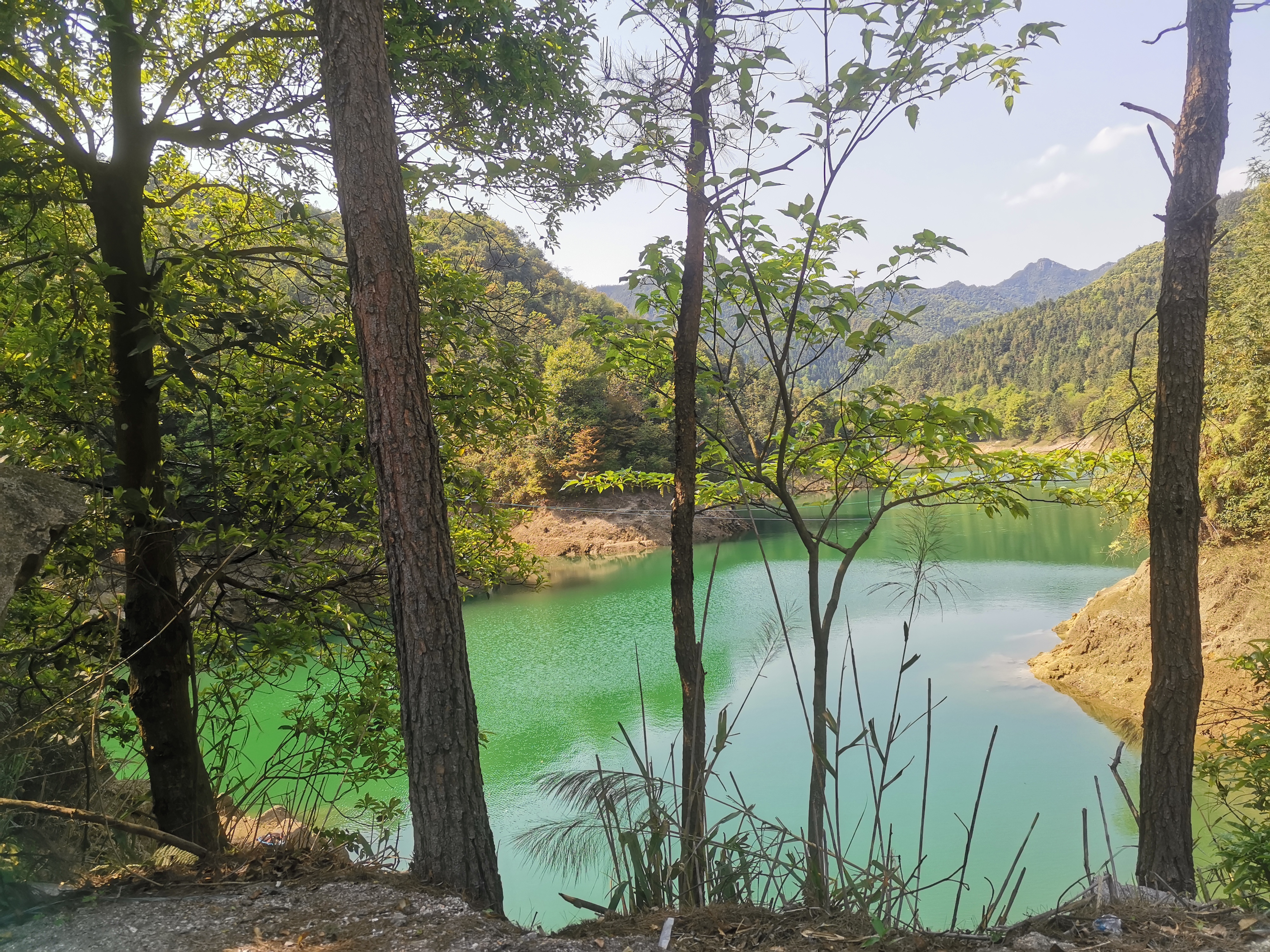 螺壳山森林公园旅行图片 1
