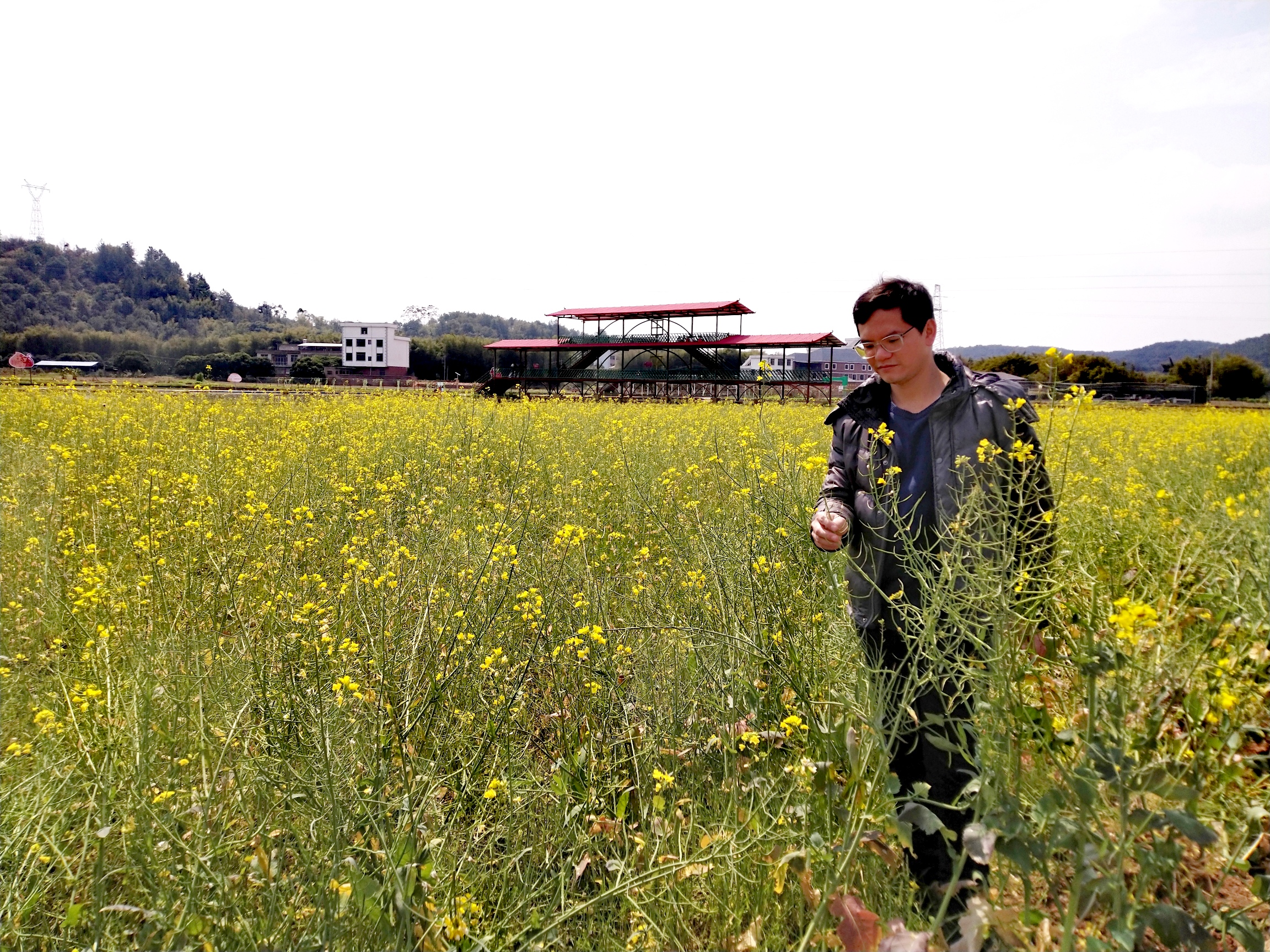桃花村旅行图片 2