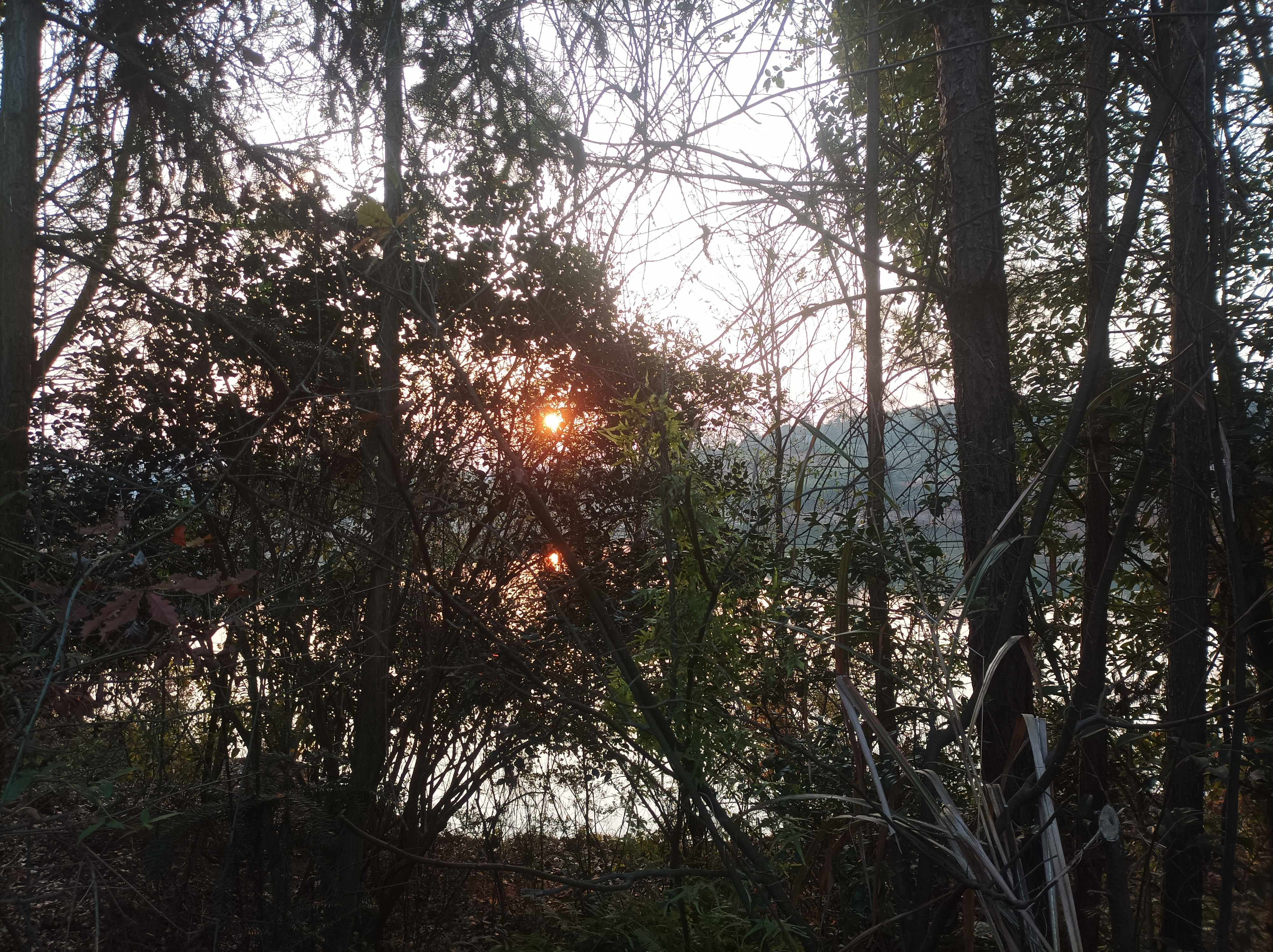 南昌市金山旅游风景区旅行图片 1