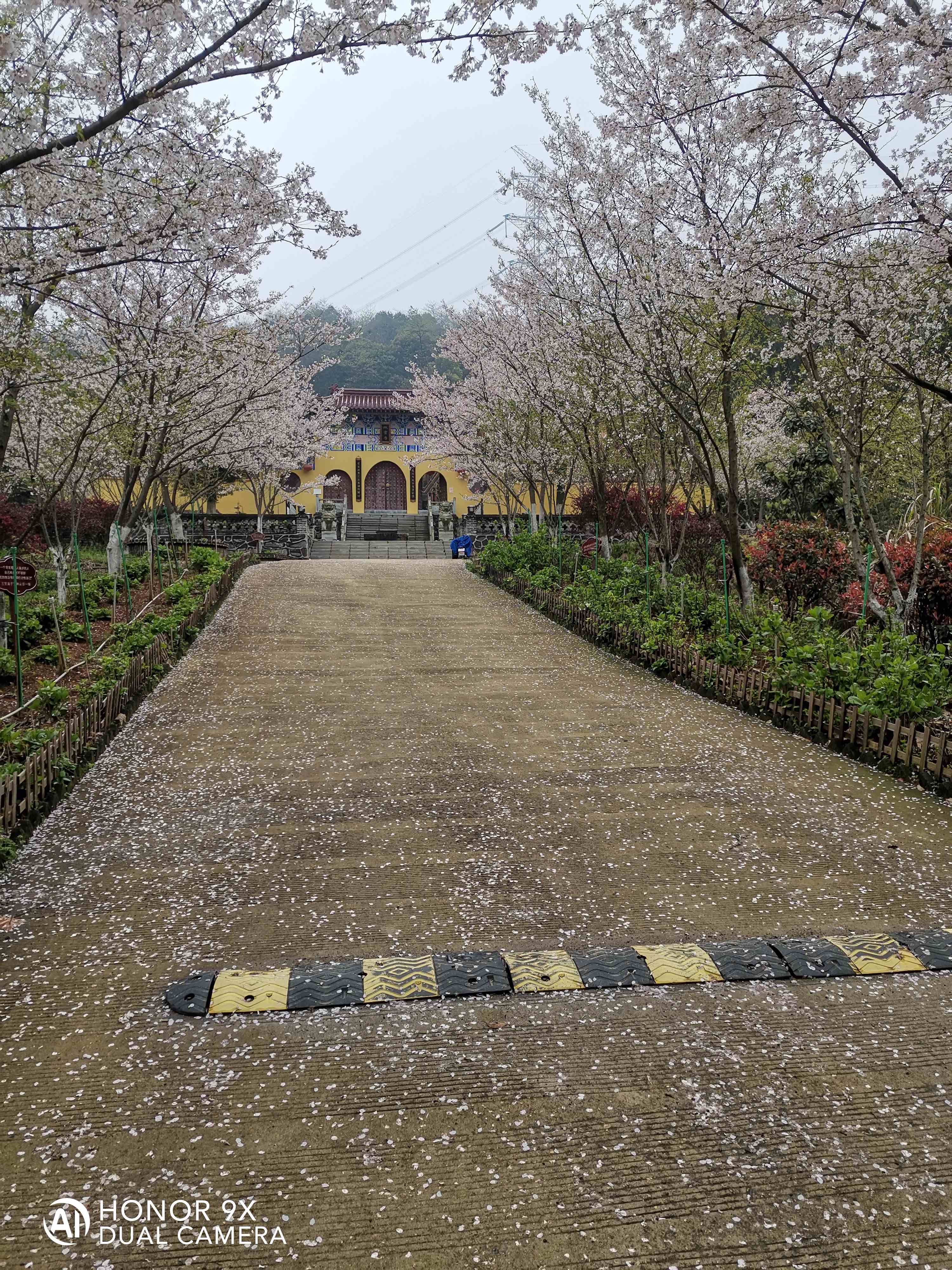 城灵寺