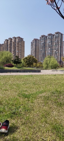 赛城湖公园旅行图片 3