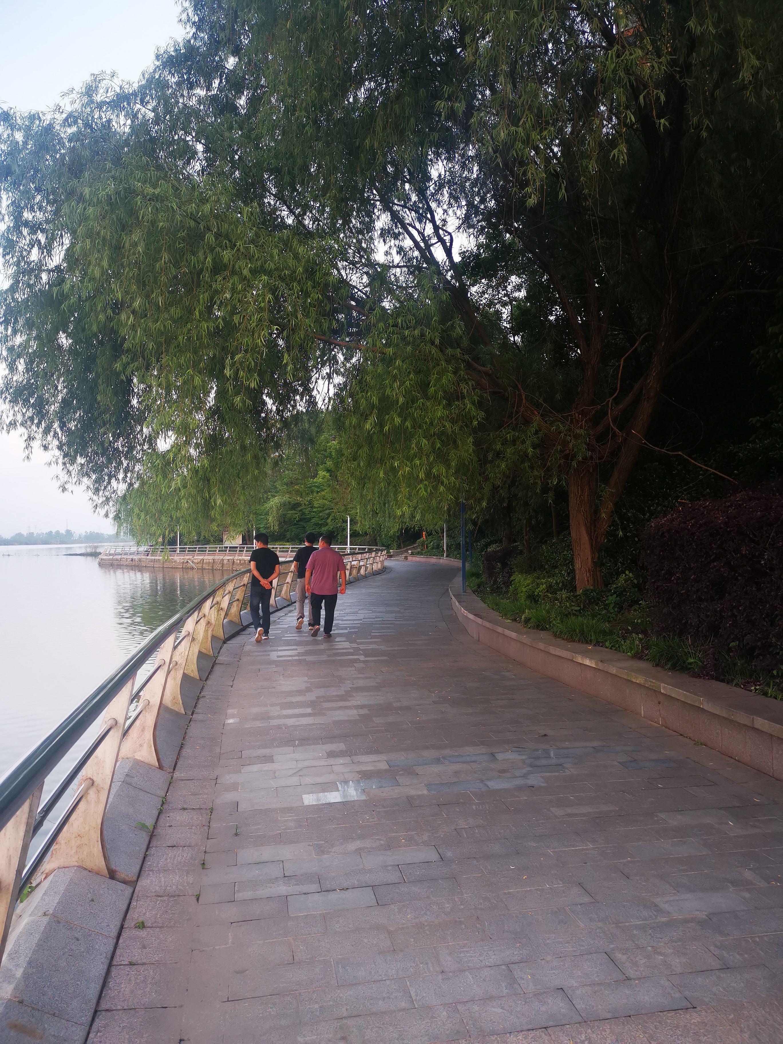 安定湖公园旅行图片 3