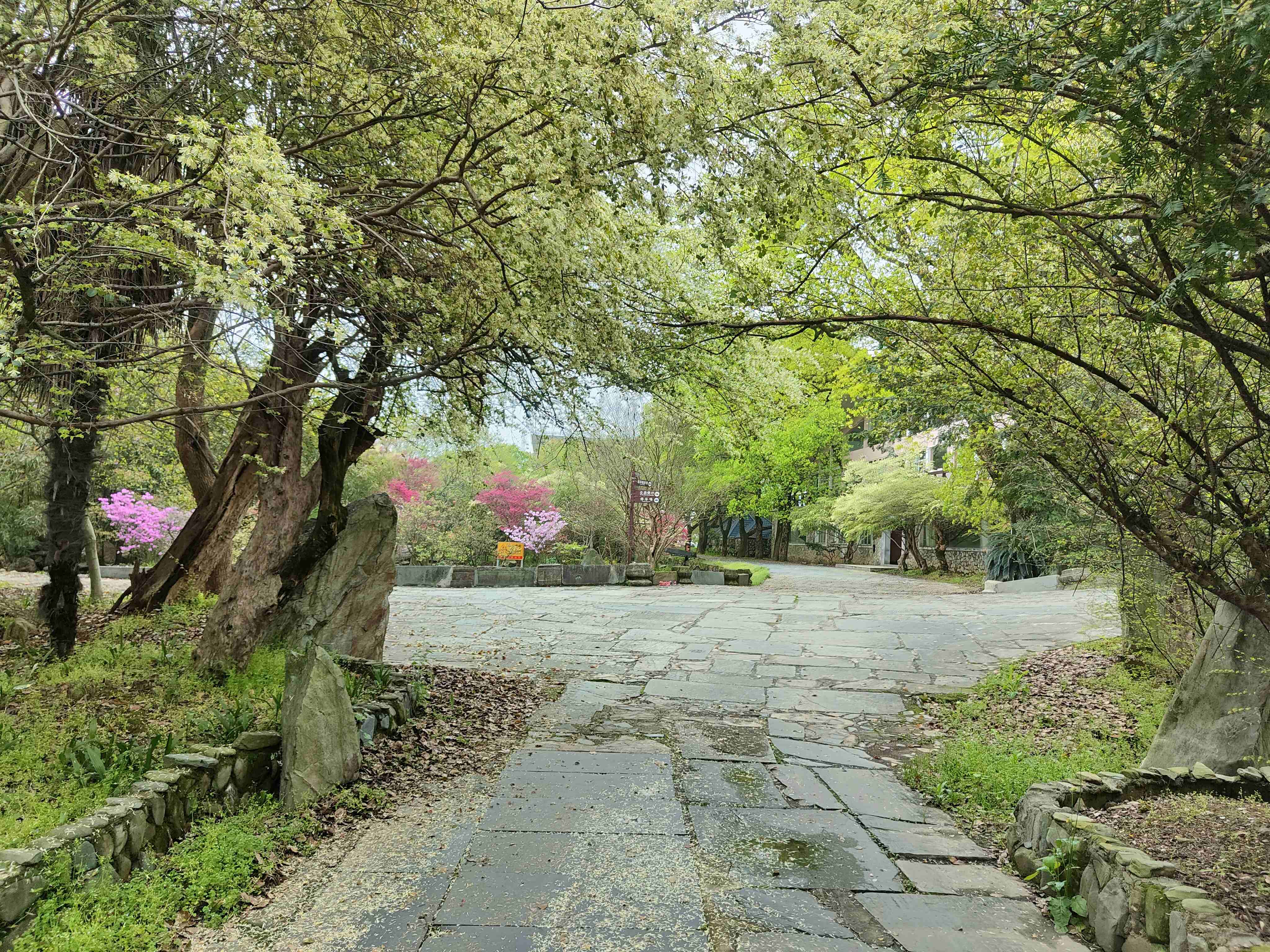 得雨生态园(不对外开放)旅行图片 2