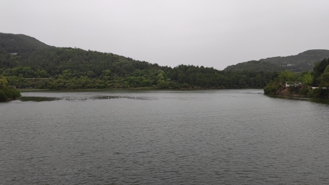 莲花湖旅行图片 1