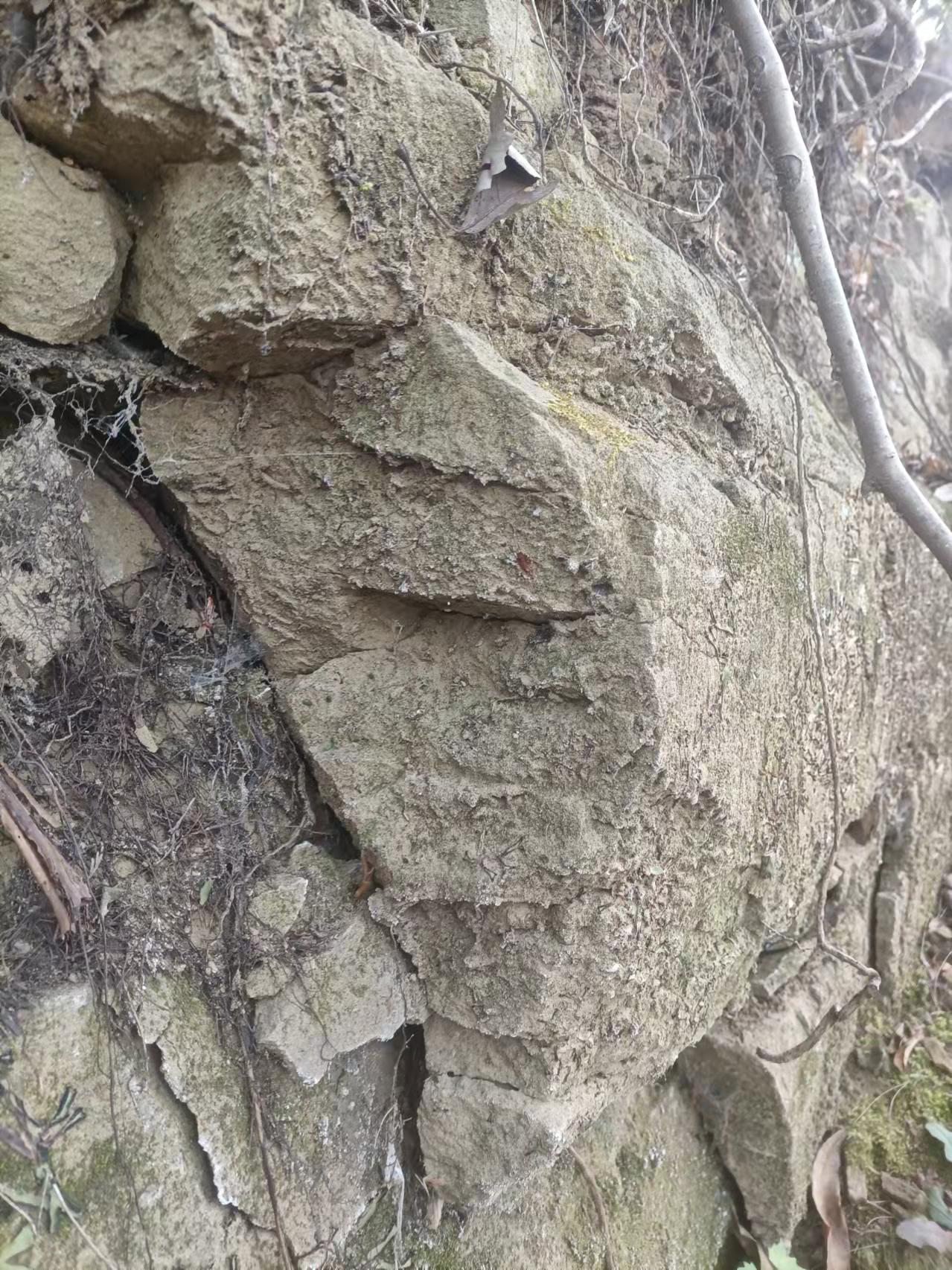 鲁班湖旅行图片 3