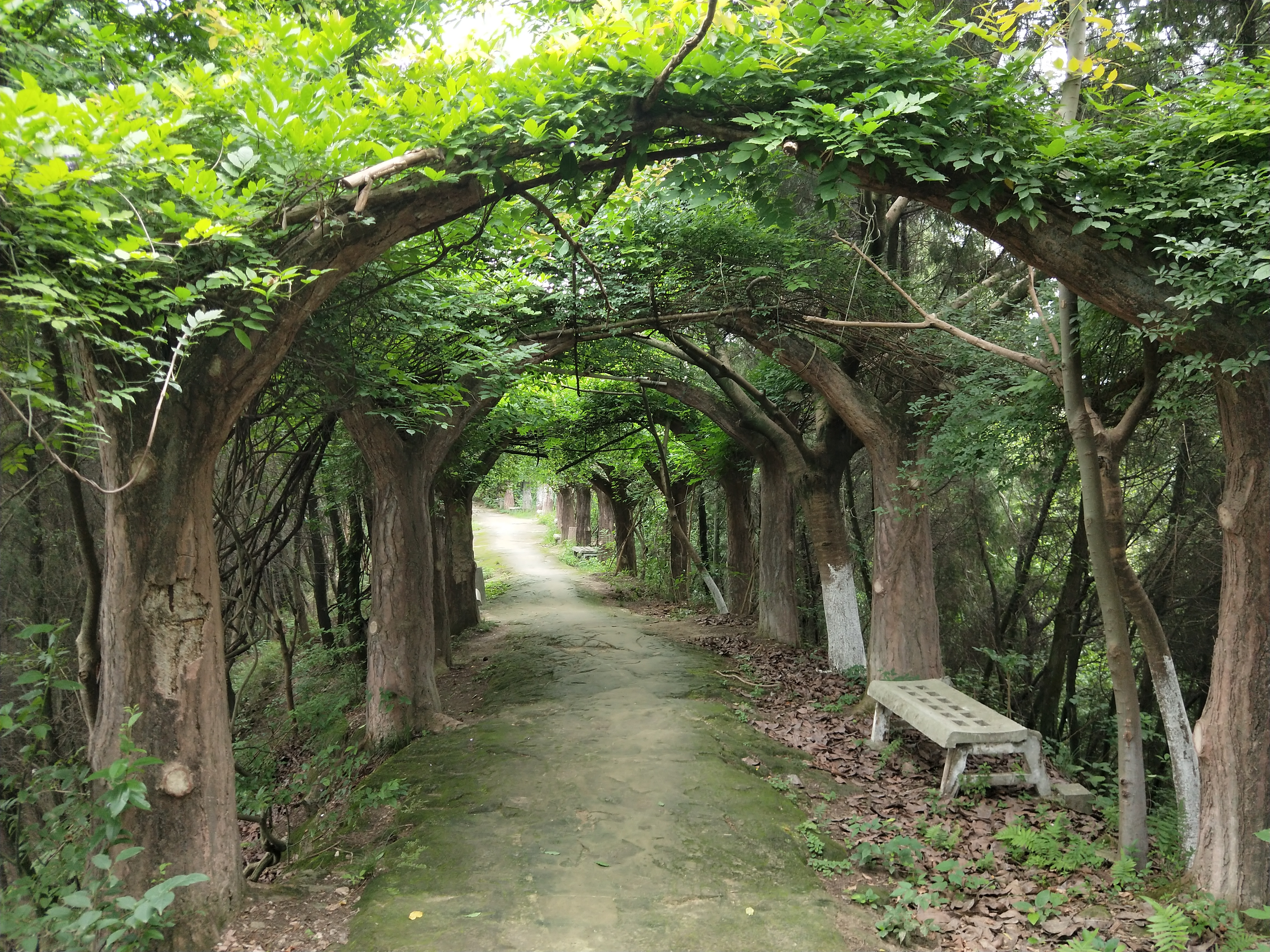 灵云山公园旅行图片 2