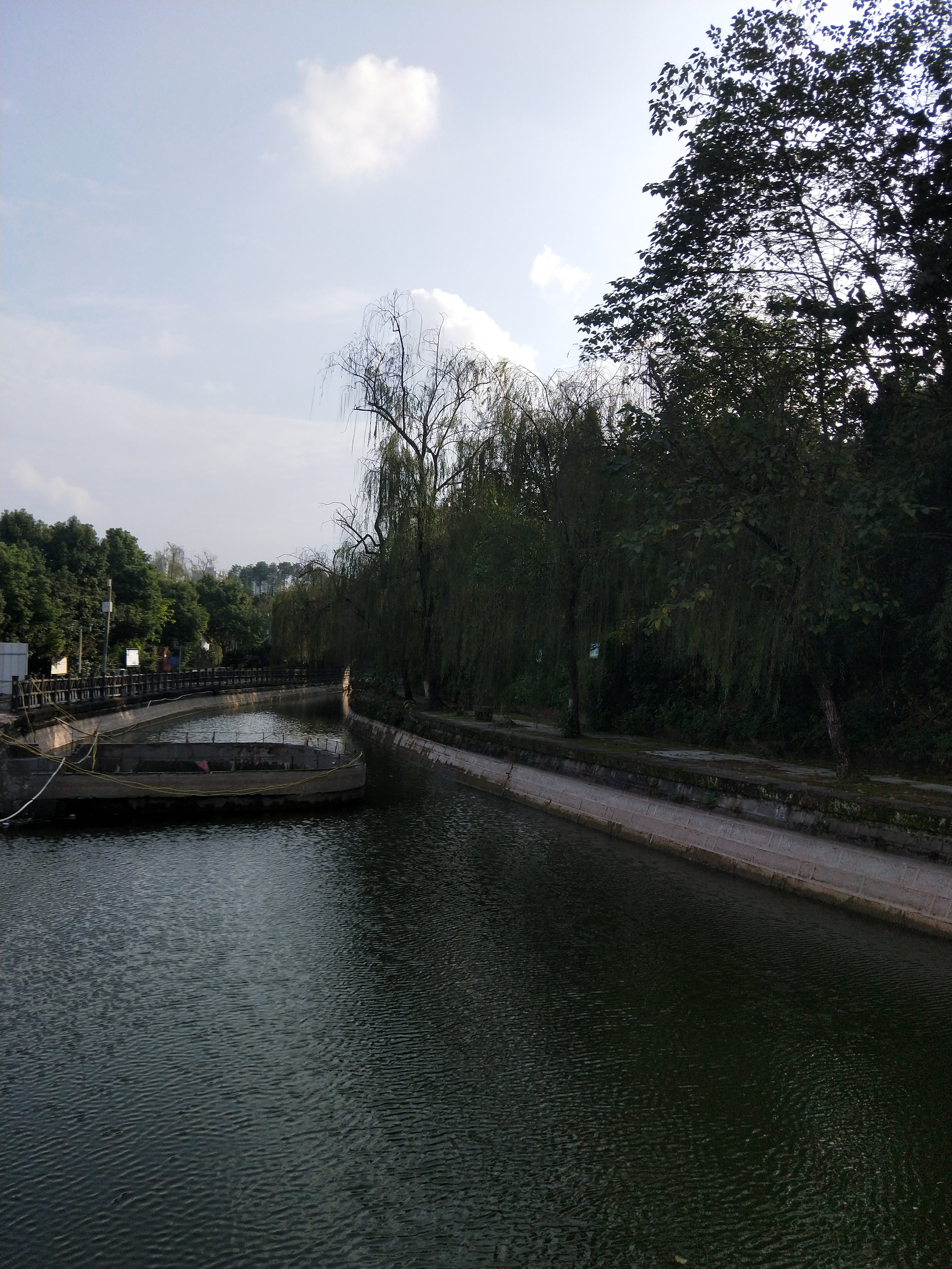 西月湖公园旅行图片 3