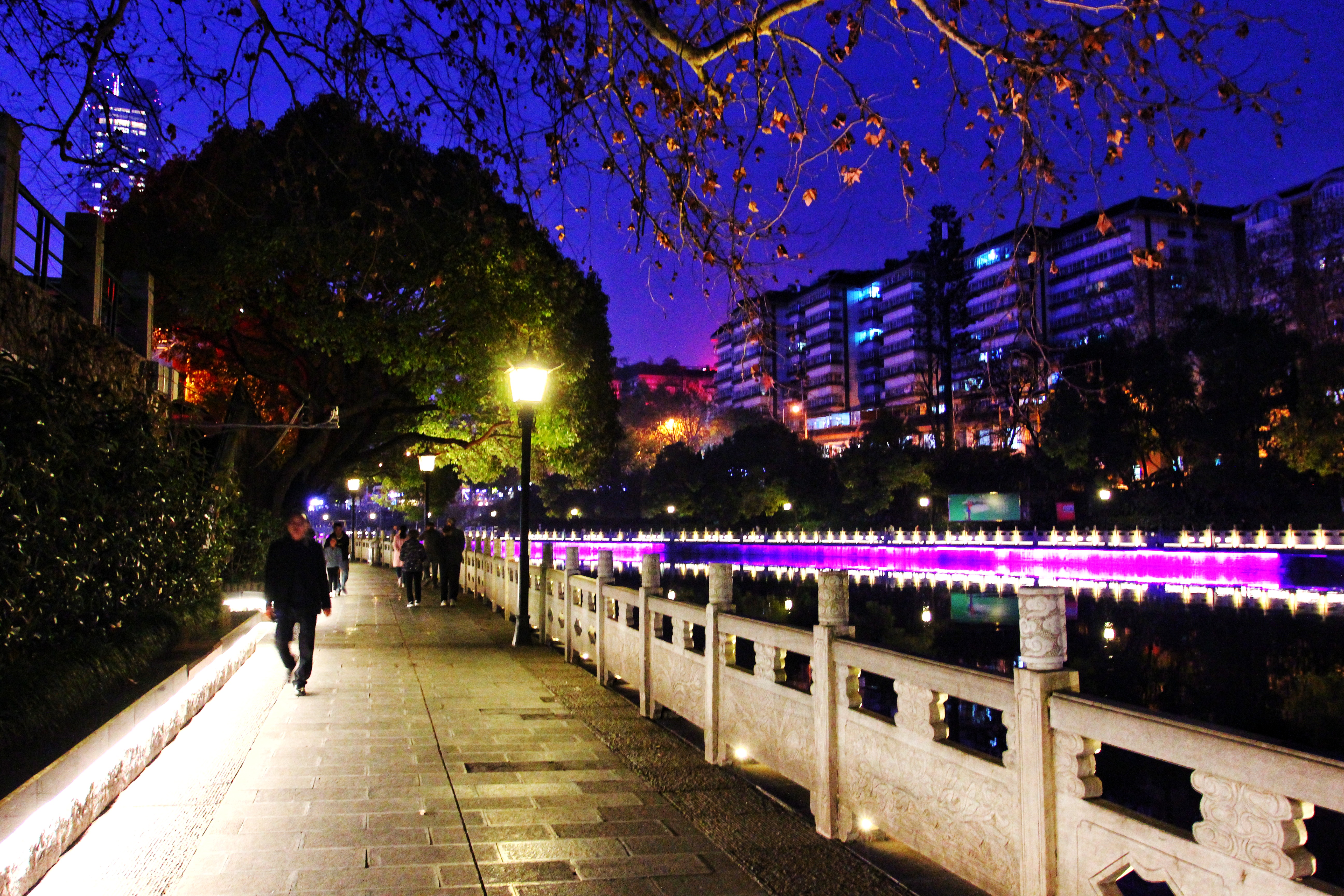 城南胜迹旅行图片 2
