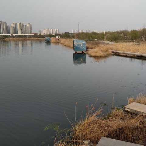 新塘湖旅行图片 1