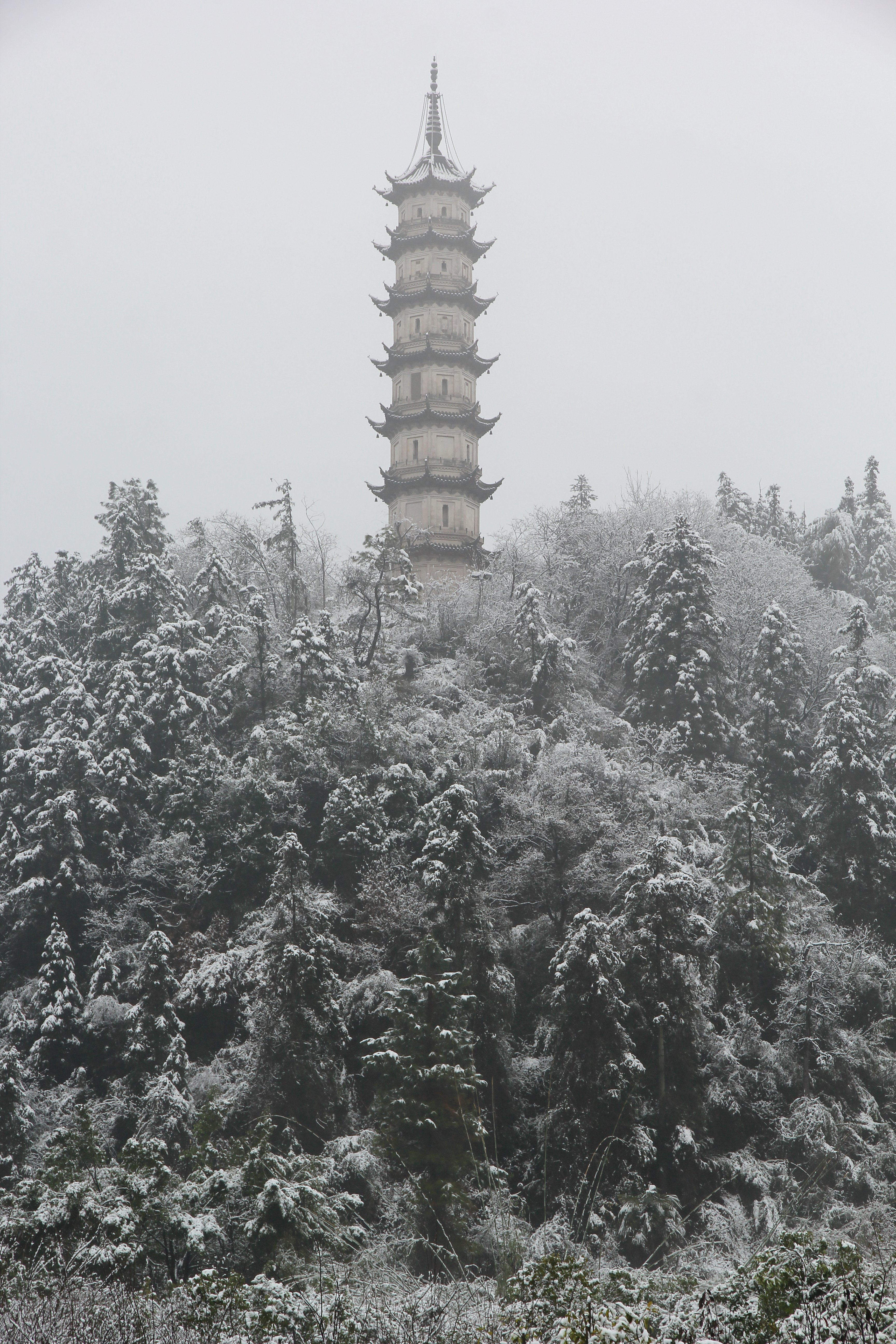 云鸿塔旅行图片 2