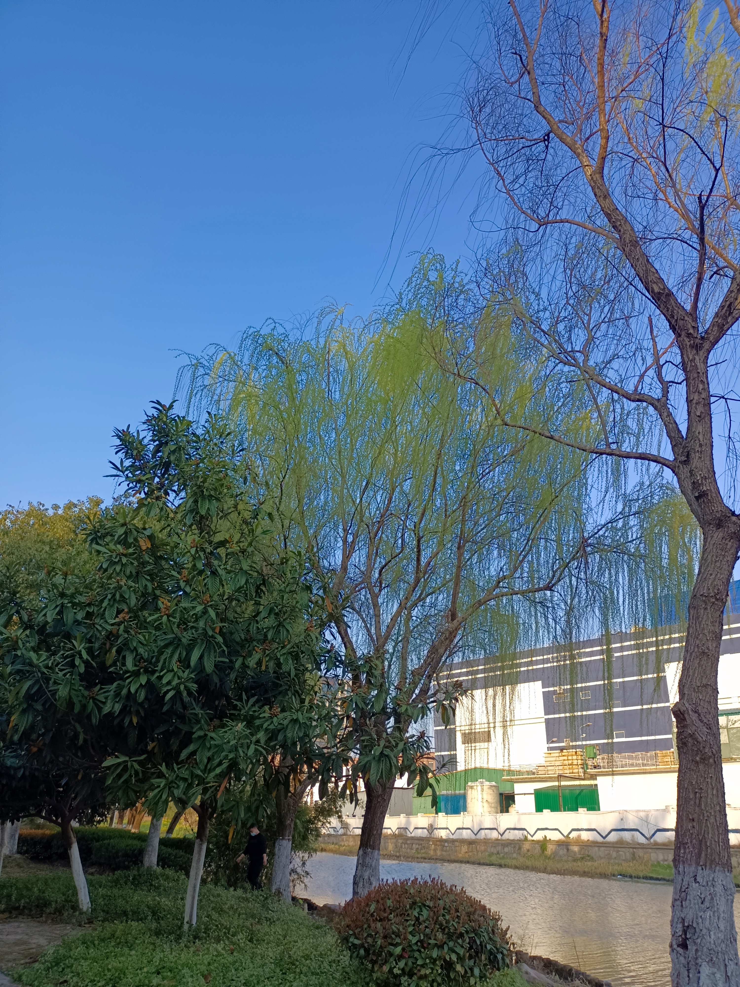 合丰公园旅行图片 3