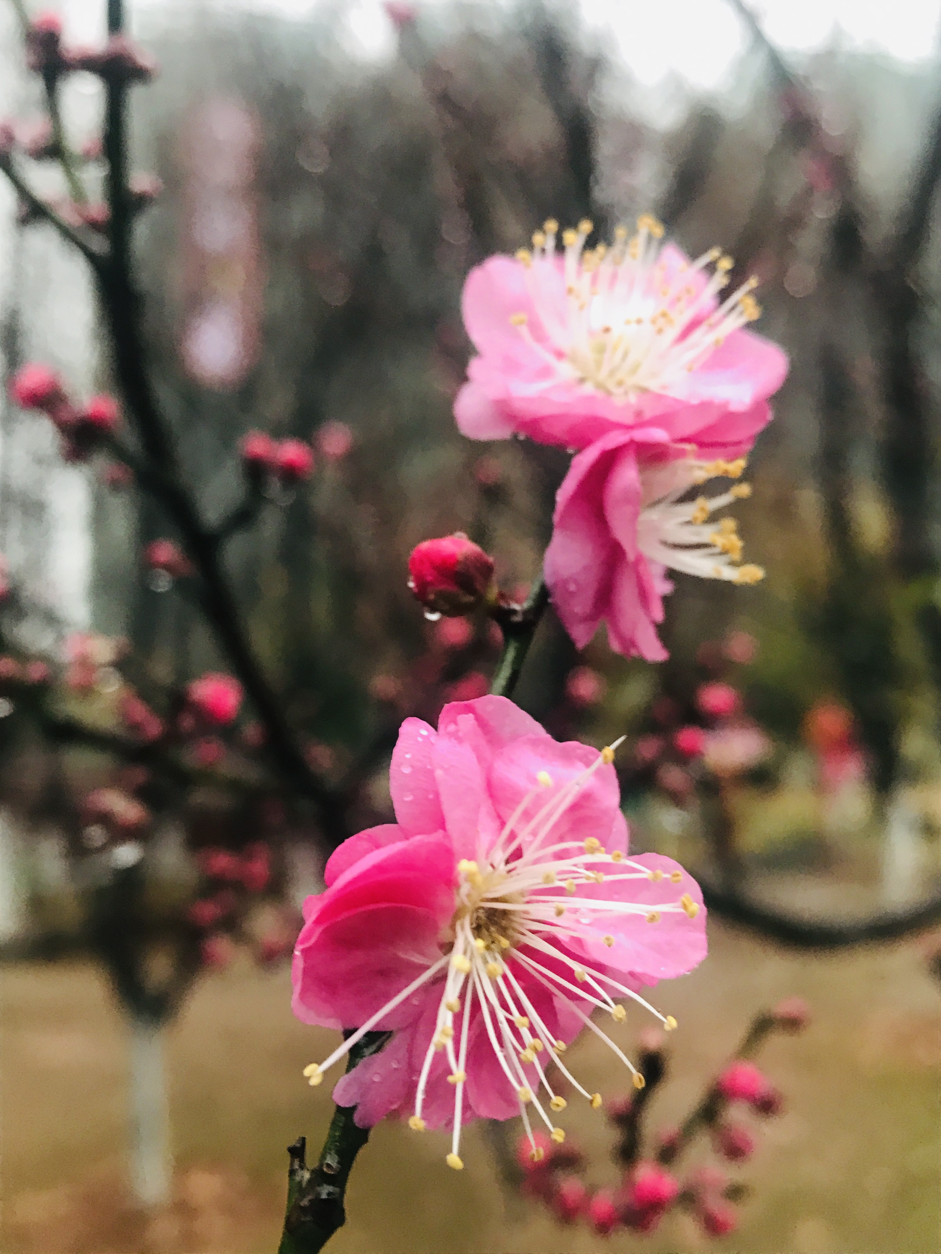 营盘山公园旅行图片 2