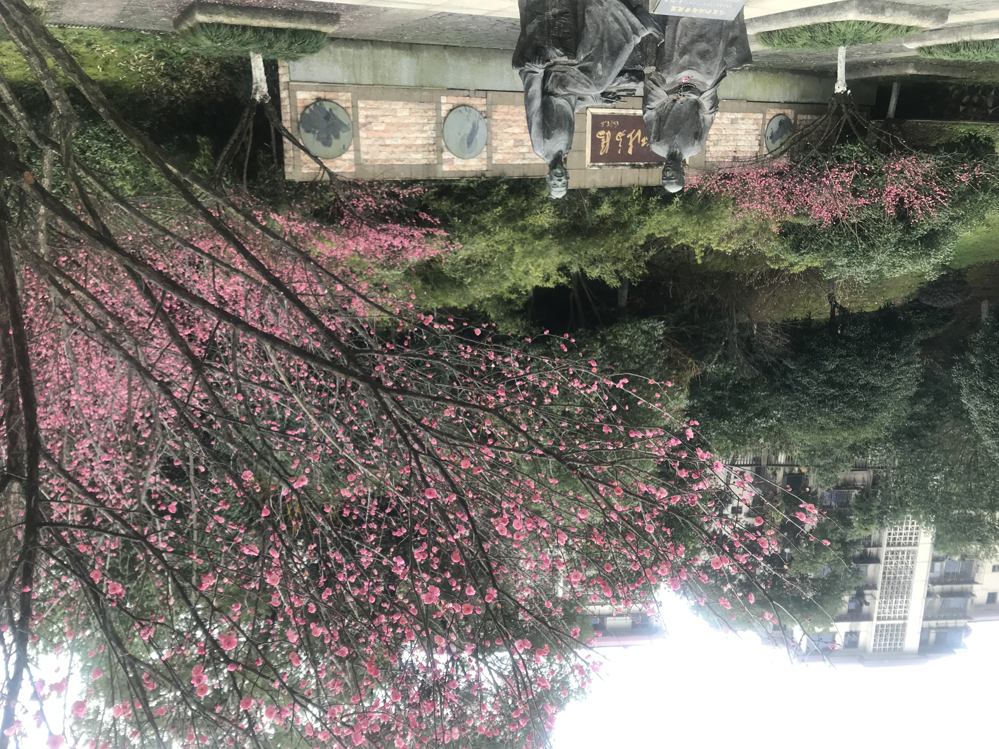营盘山公园旅行图片 3