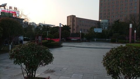 新华游园旅行图片 1