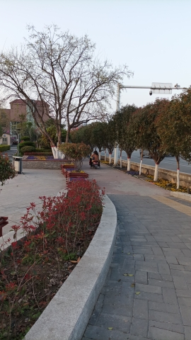 新华游园旅行图片 3