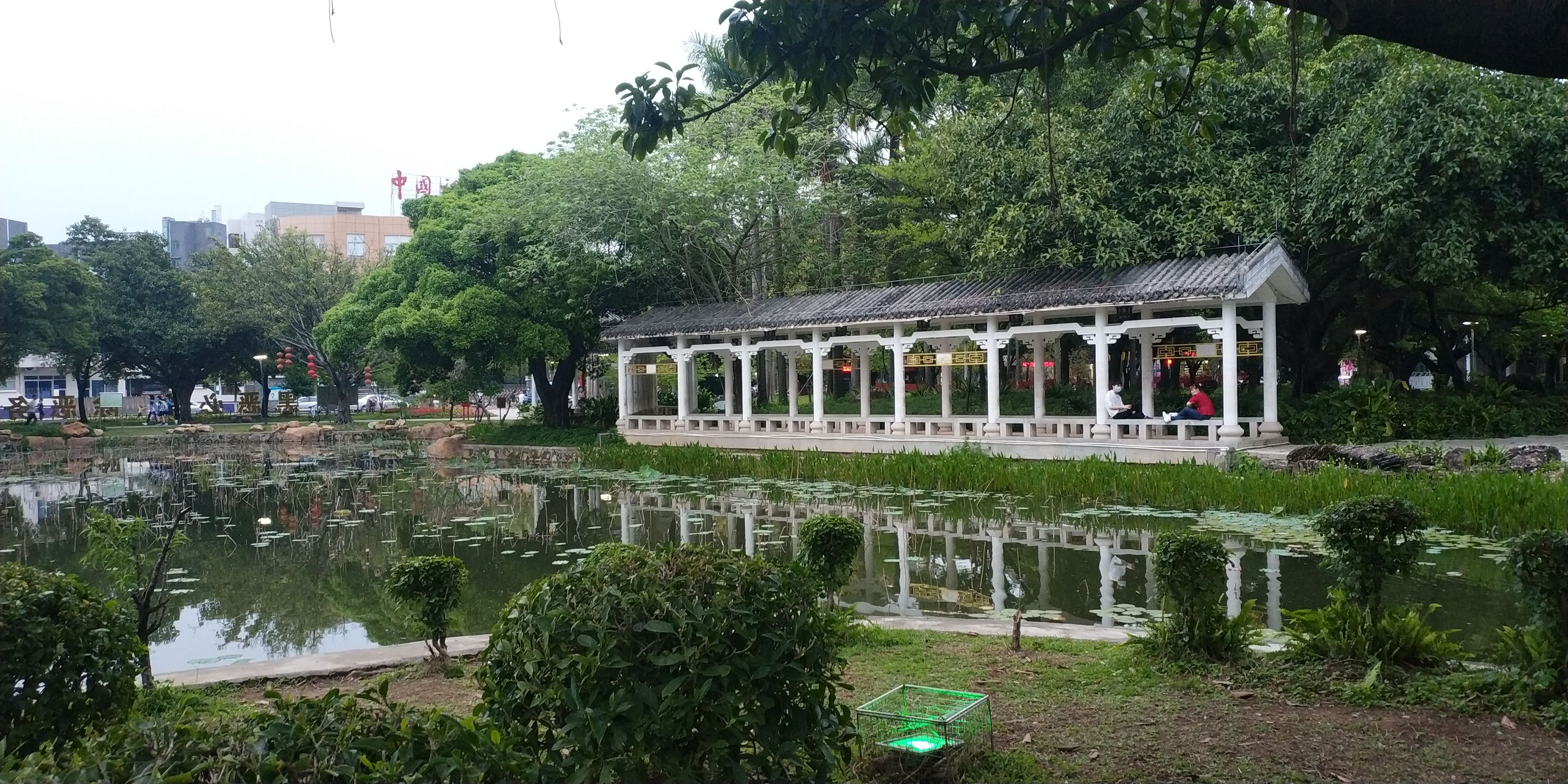 东涌公园旅行图片 3