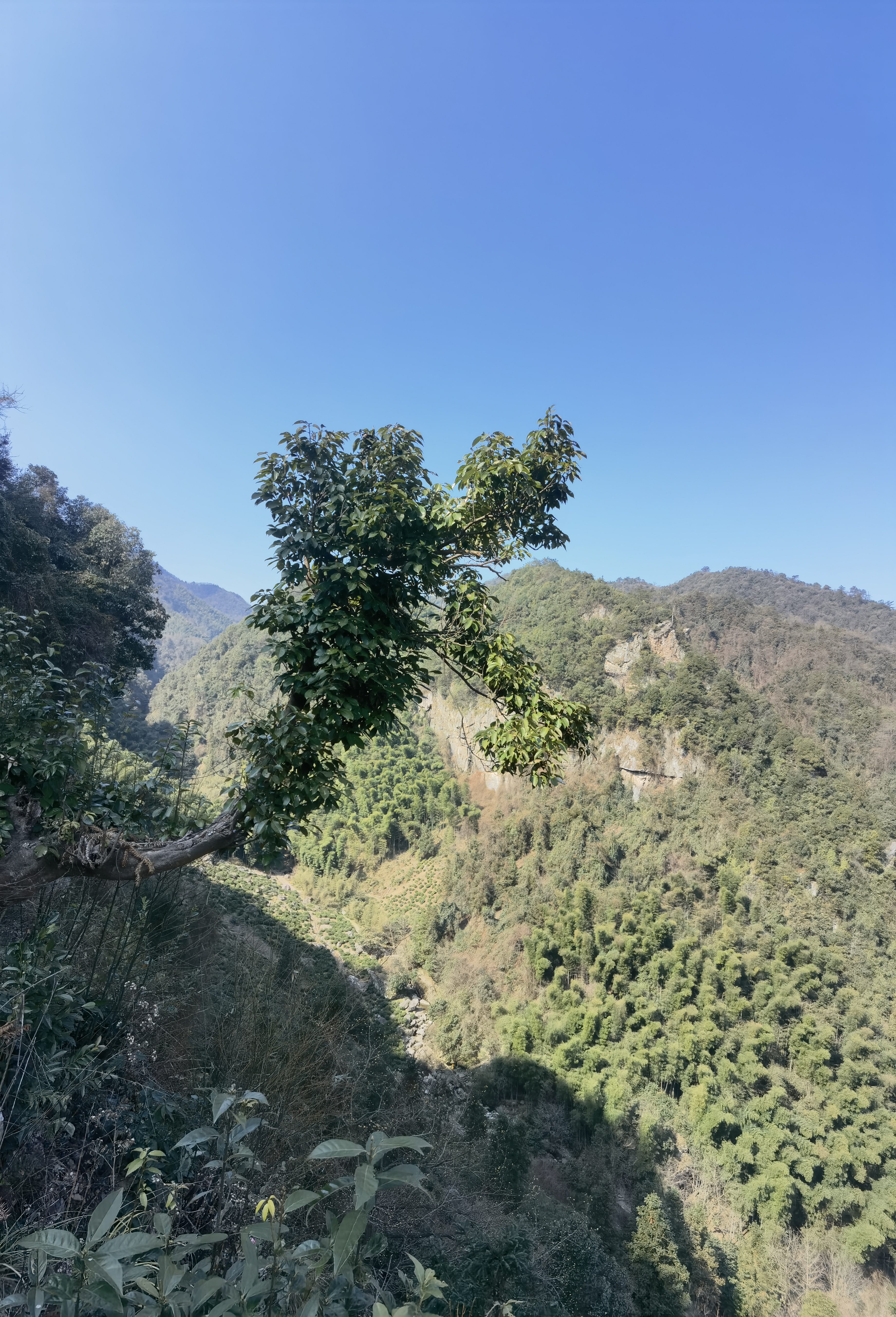 华东大裂谷旅行图片 2