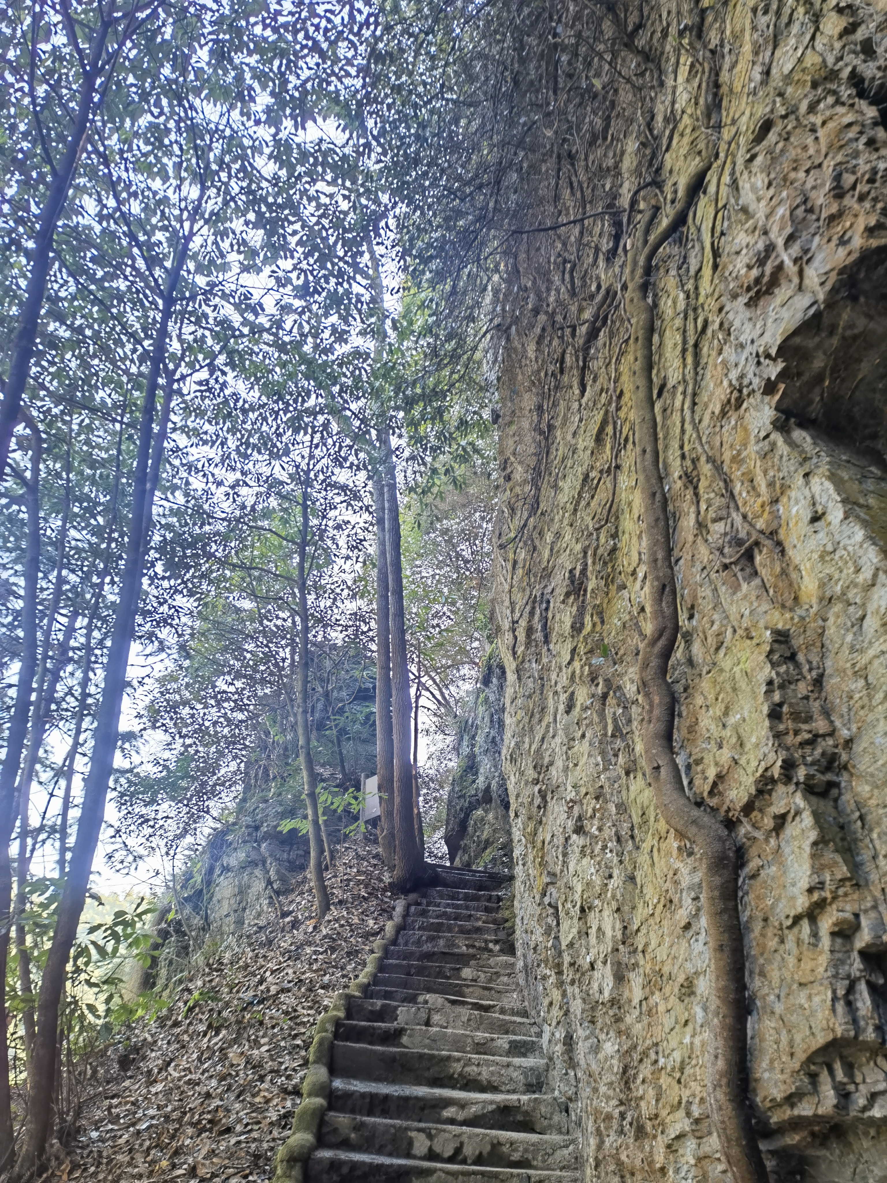 华东大裂谷旅行图片 1