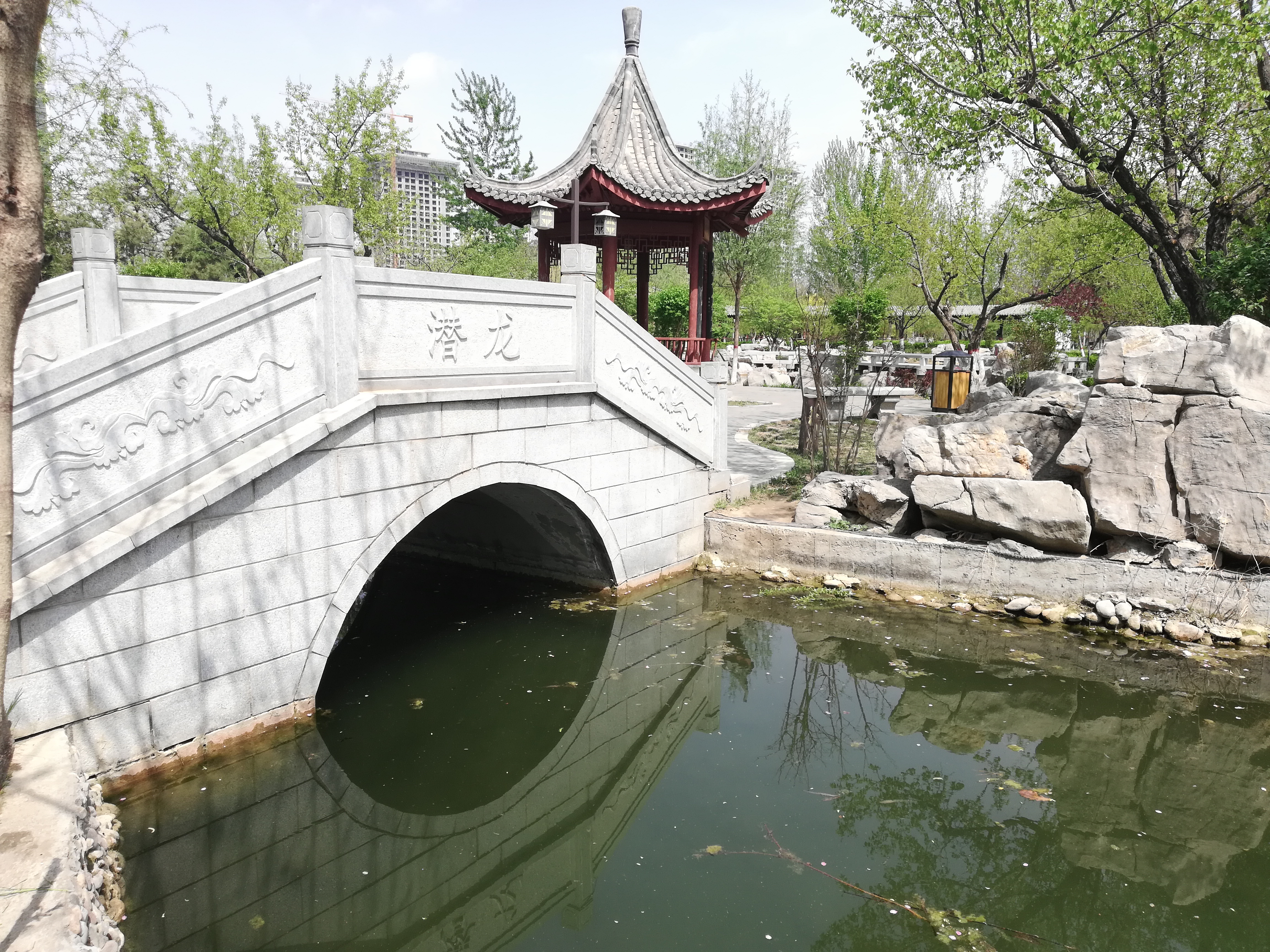 朝阳公园旅行图片 1