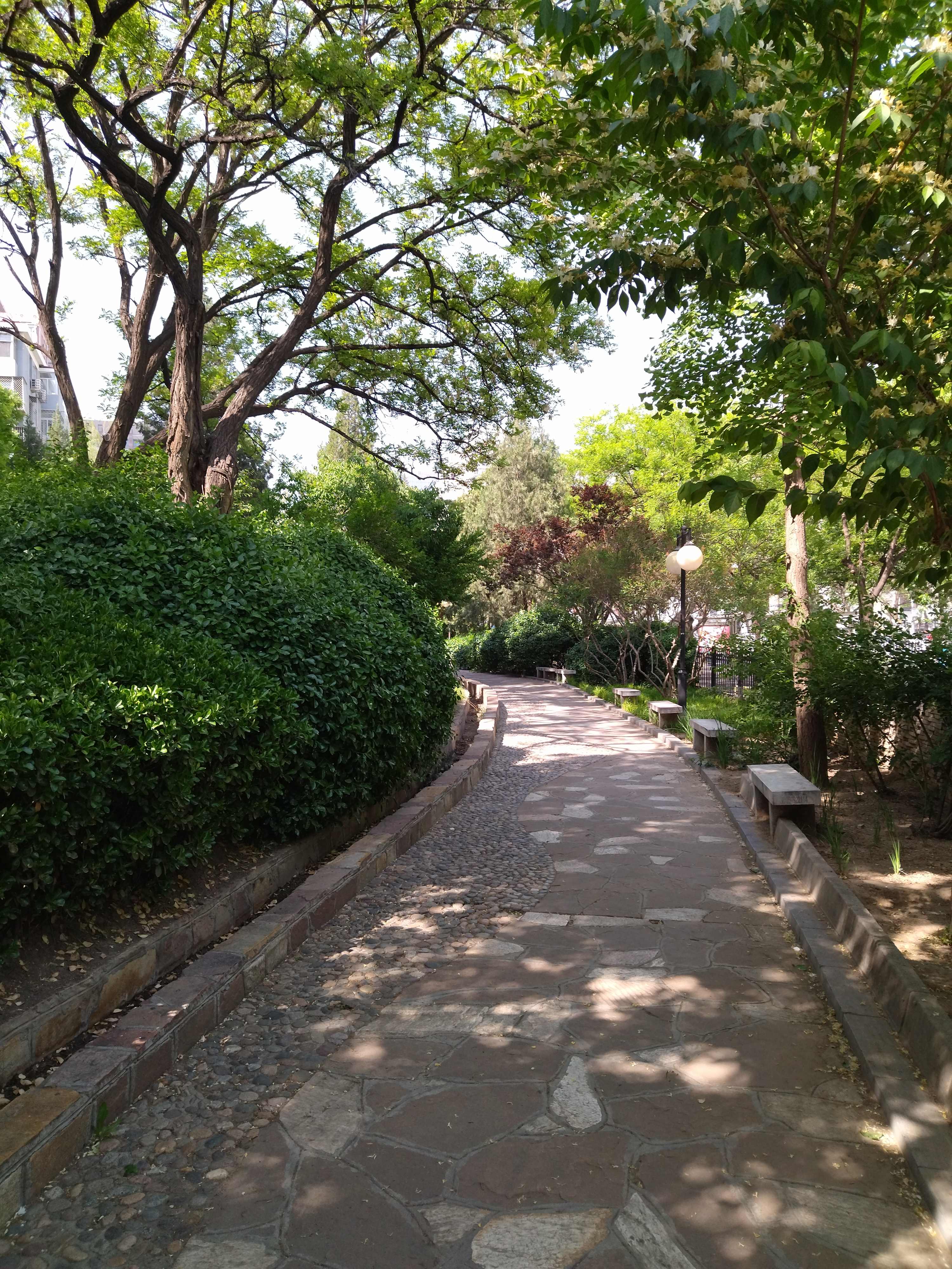 涌溪公园旅行图片 3
