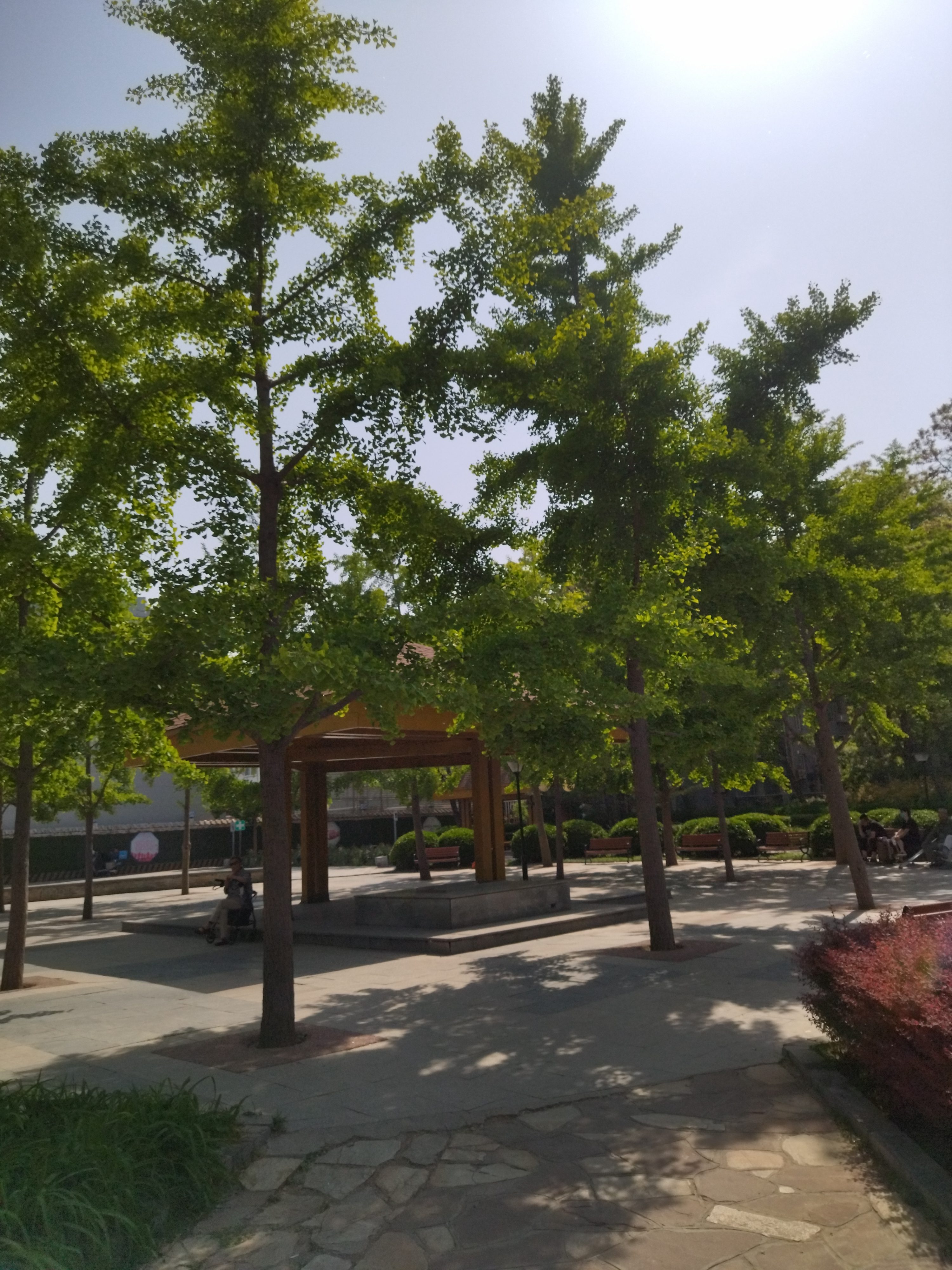 涌溪公园旅行图片 1