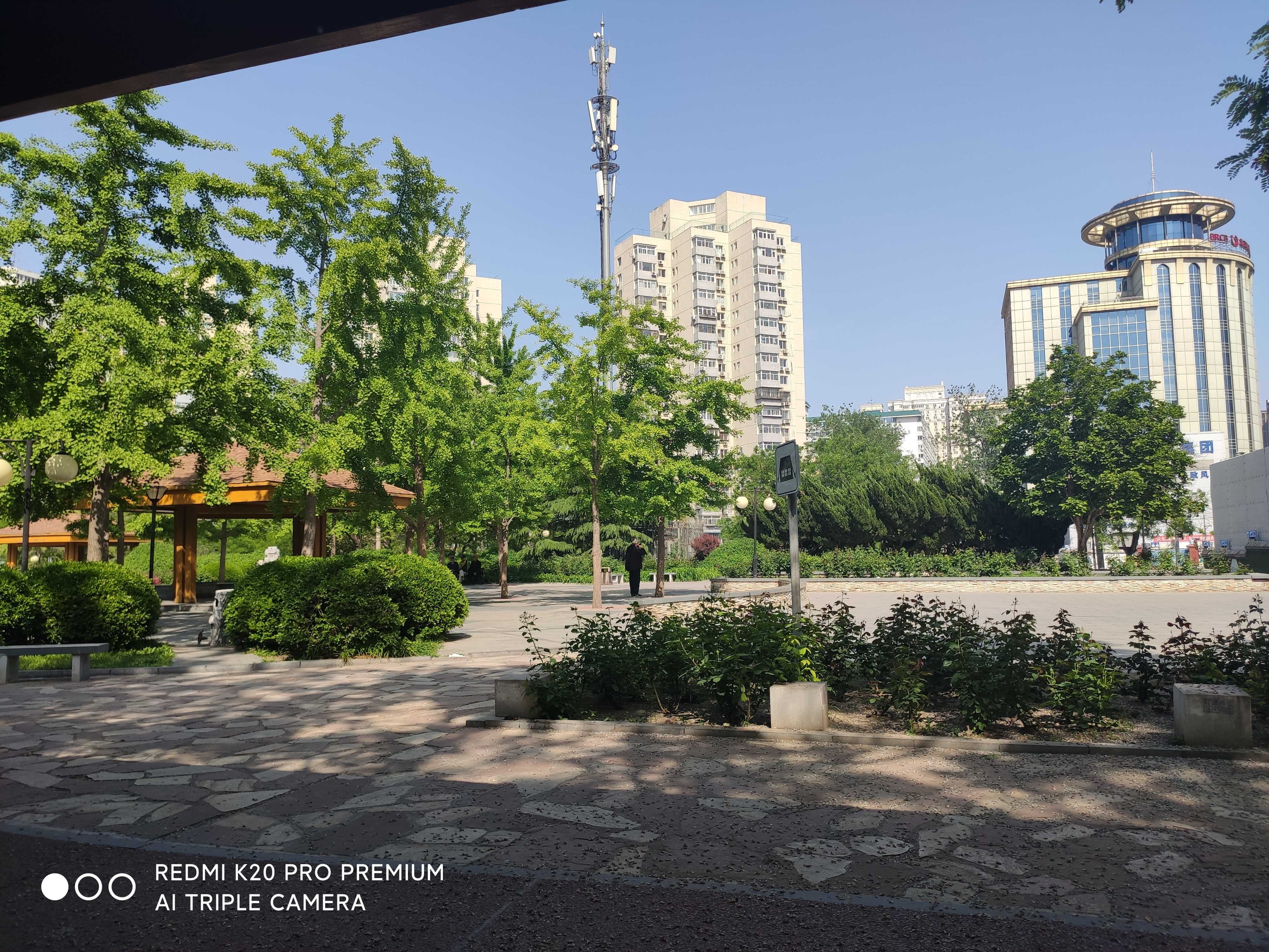 涌溪公园旅行图片 3