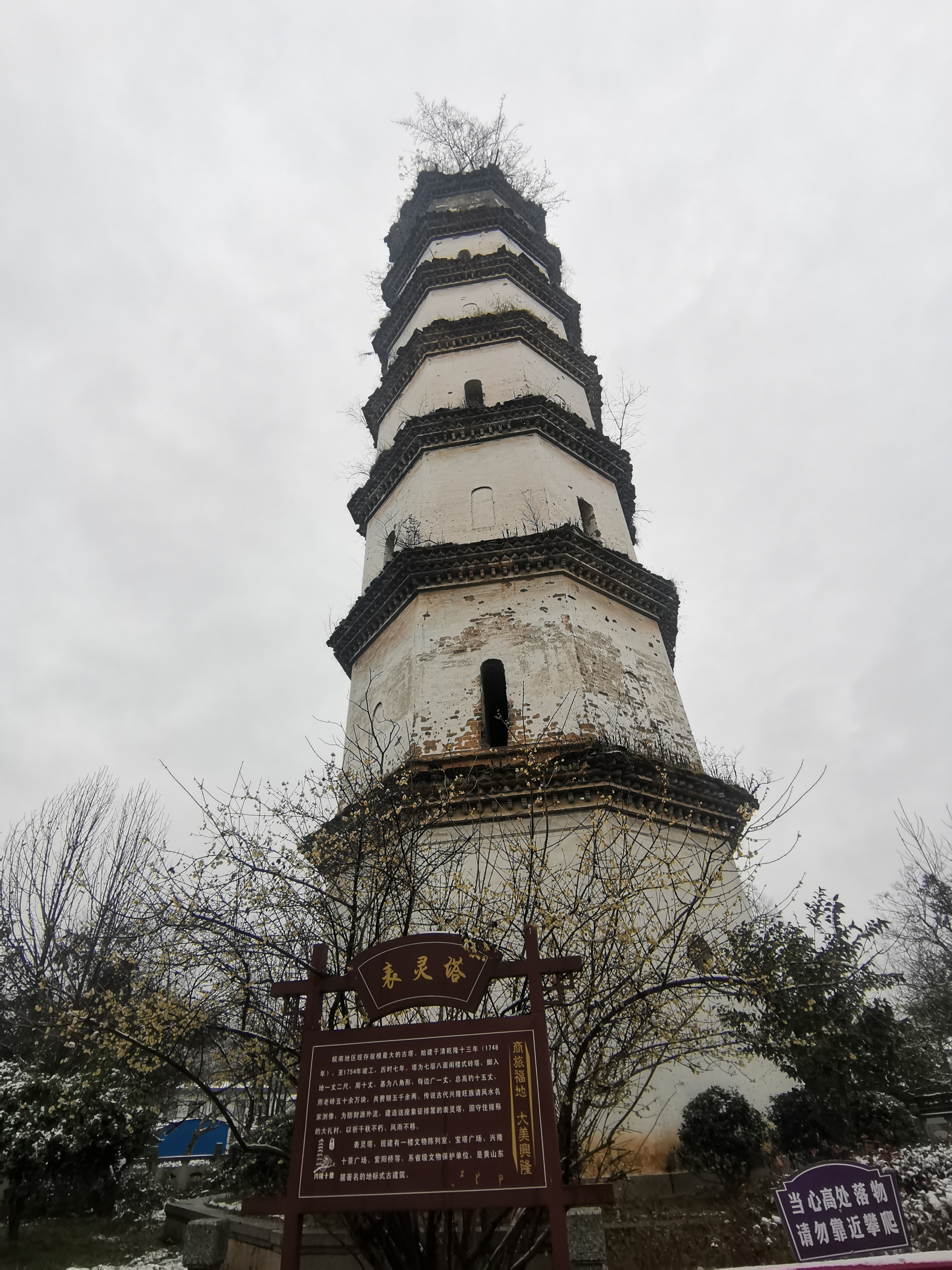 表灵塔旅行图片 2