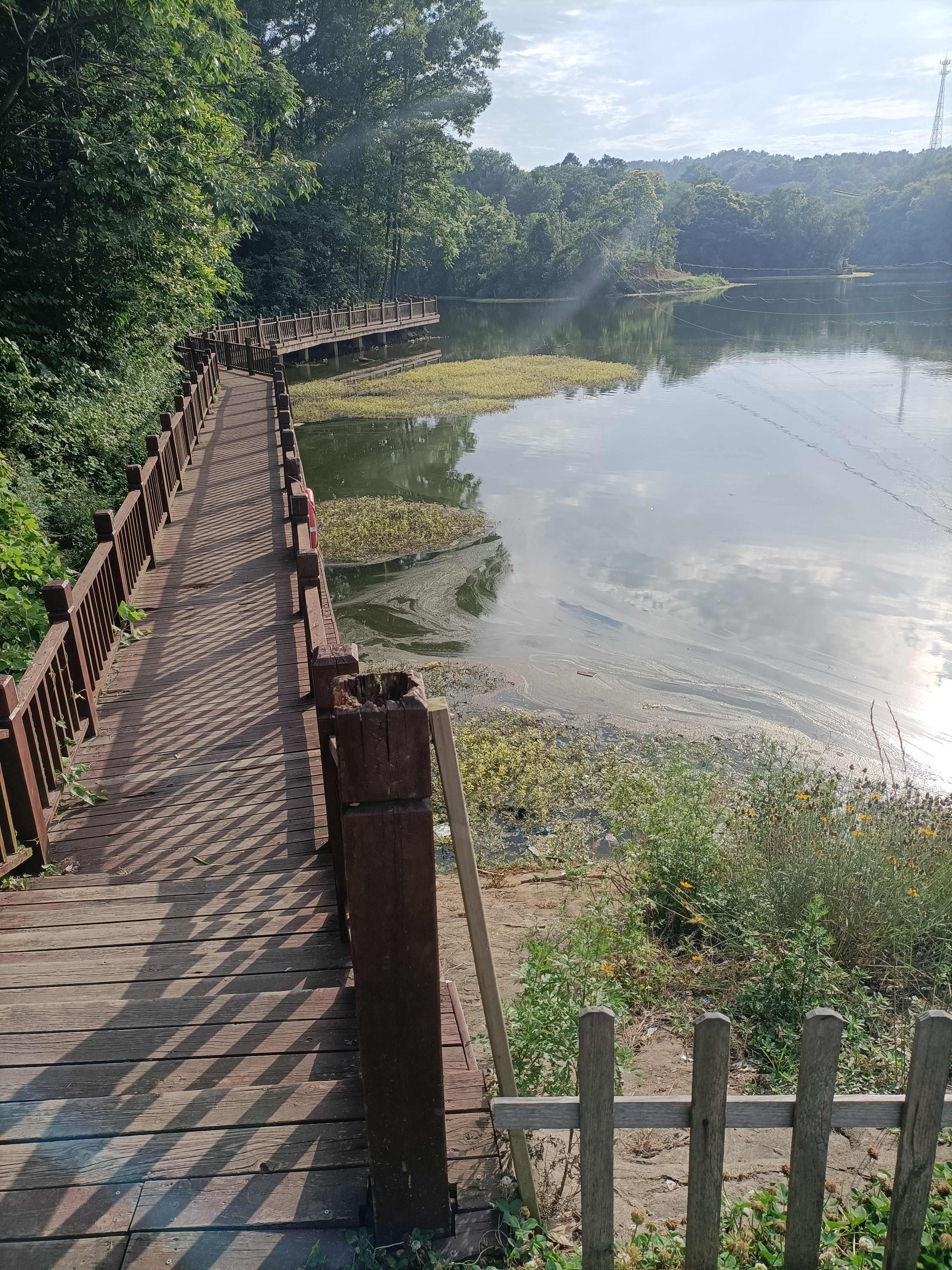 青莲苑旅行图片 2