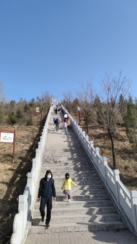 金牛森林公园旅行图片 1