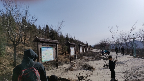 金牛森林公园旅行图片 3