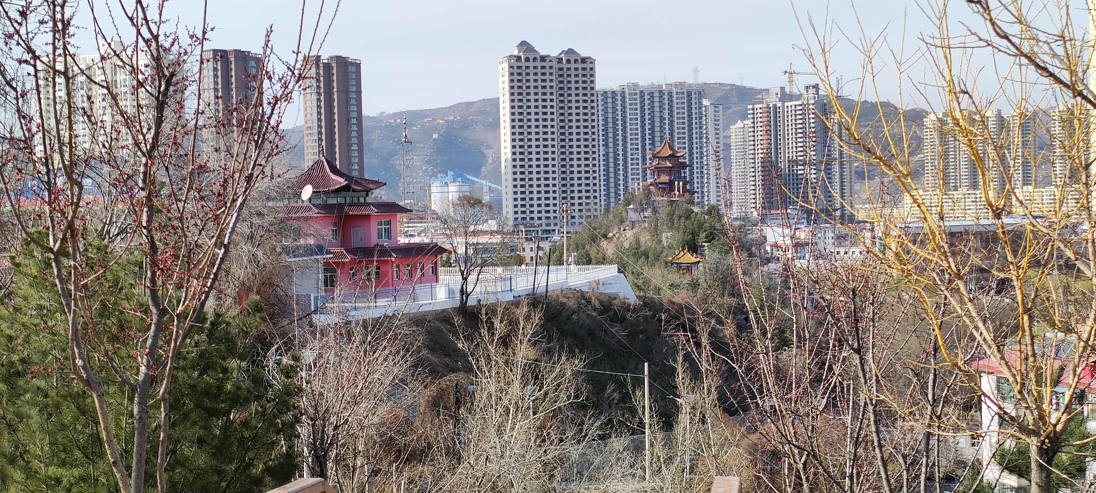 金牛森林公园旅行图片 2