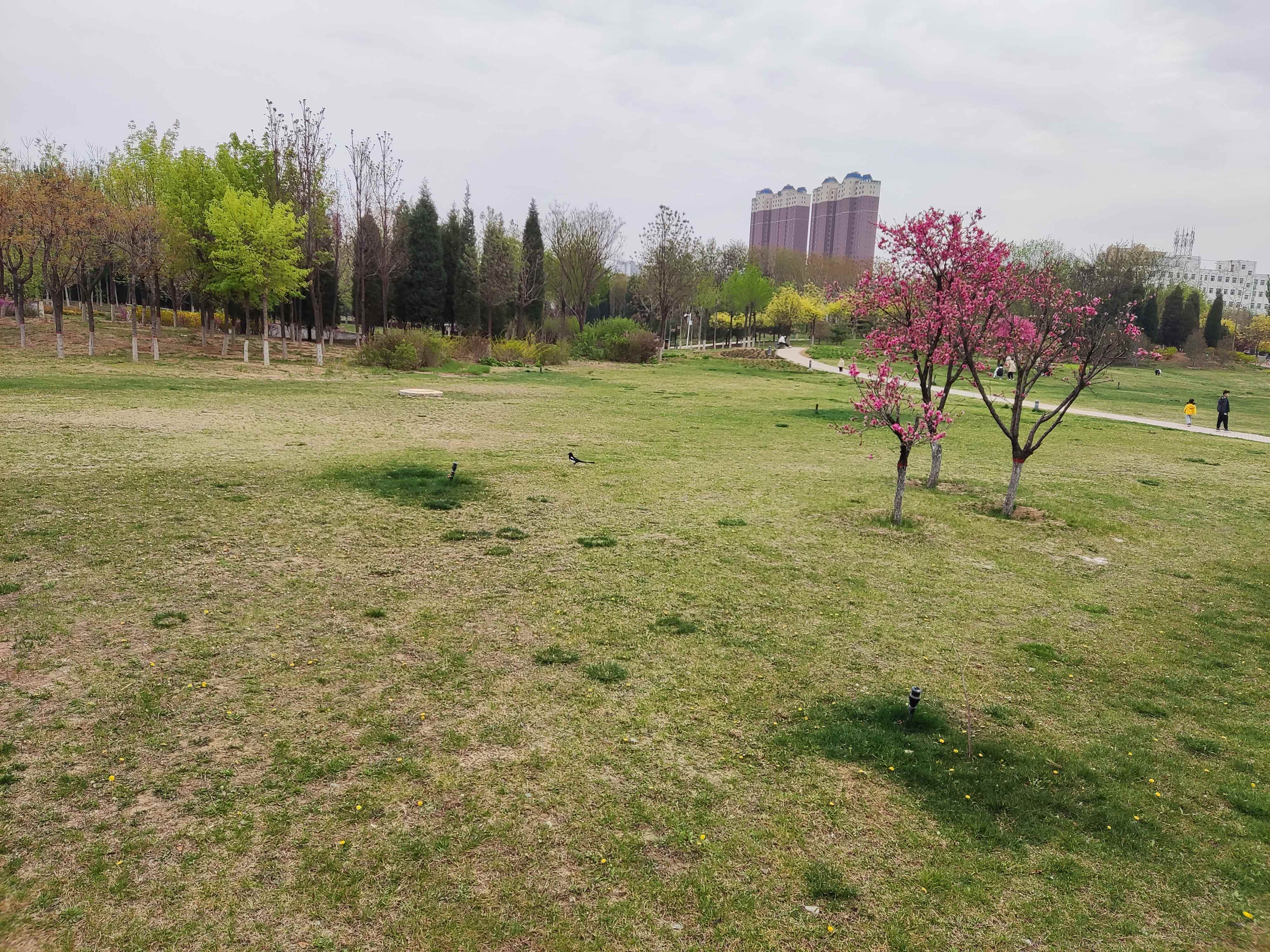 晋商文化广场旅行图片 2