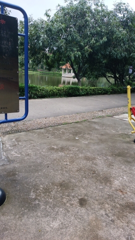 翠湖公园旅行图片 3