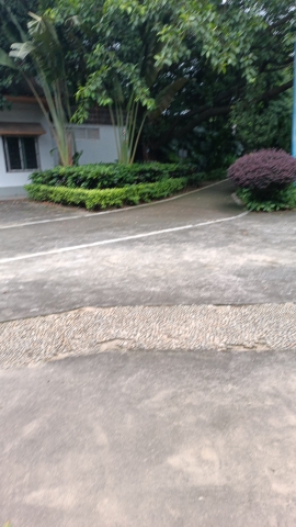 翠湖公园旅行图片 2