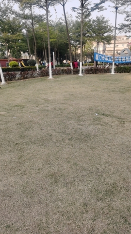 渡桥公园旅行图片 1