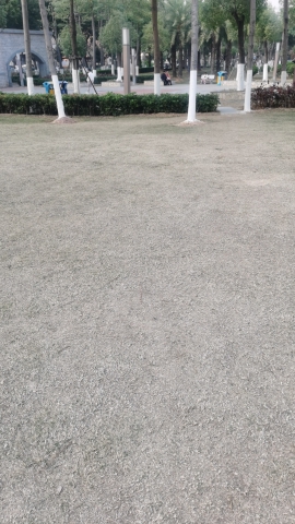 渡桥公园旅行图片 2