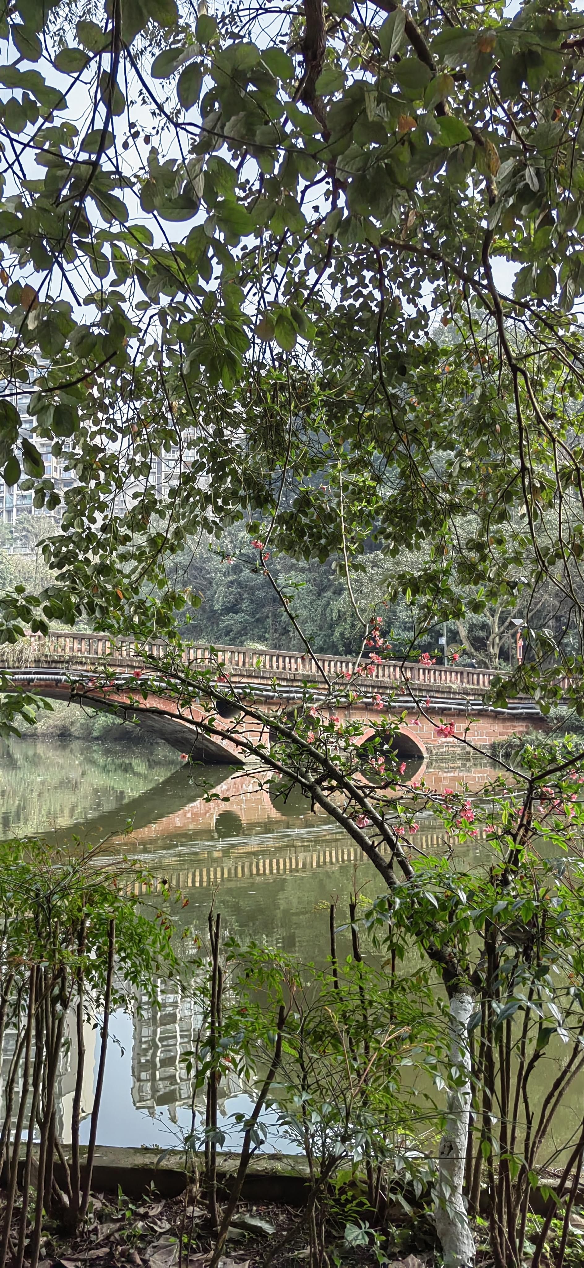 鱼咡湾公园旅行图片 2