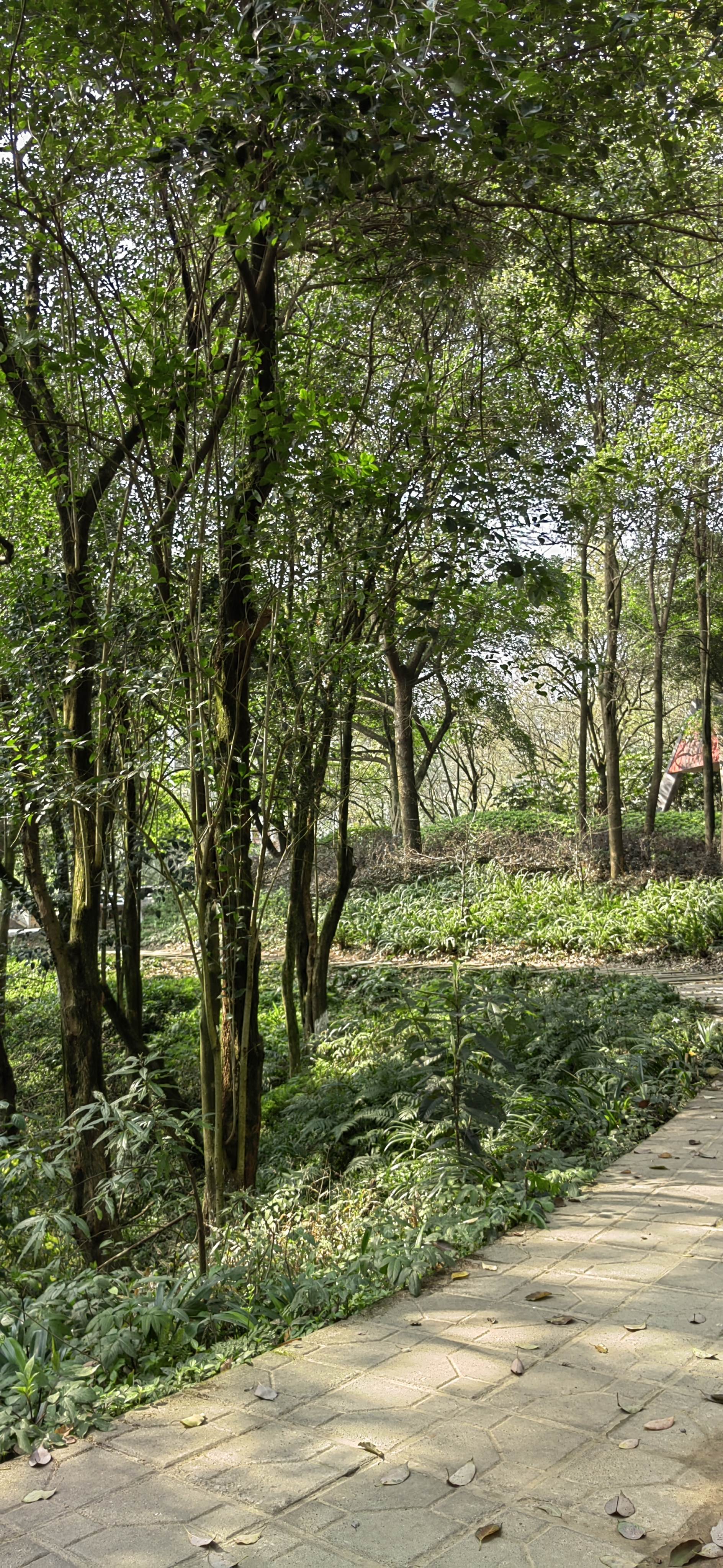 鱼咡湾公园旅行图片 3