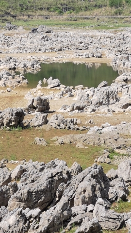 神秘湖旅行图片 2