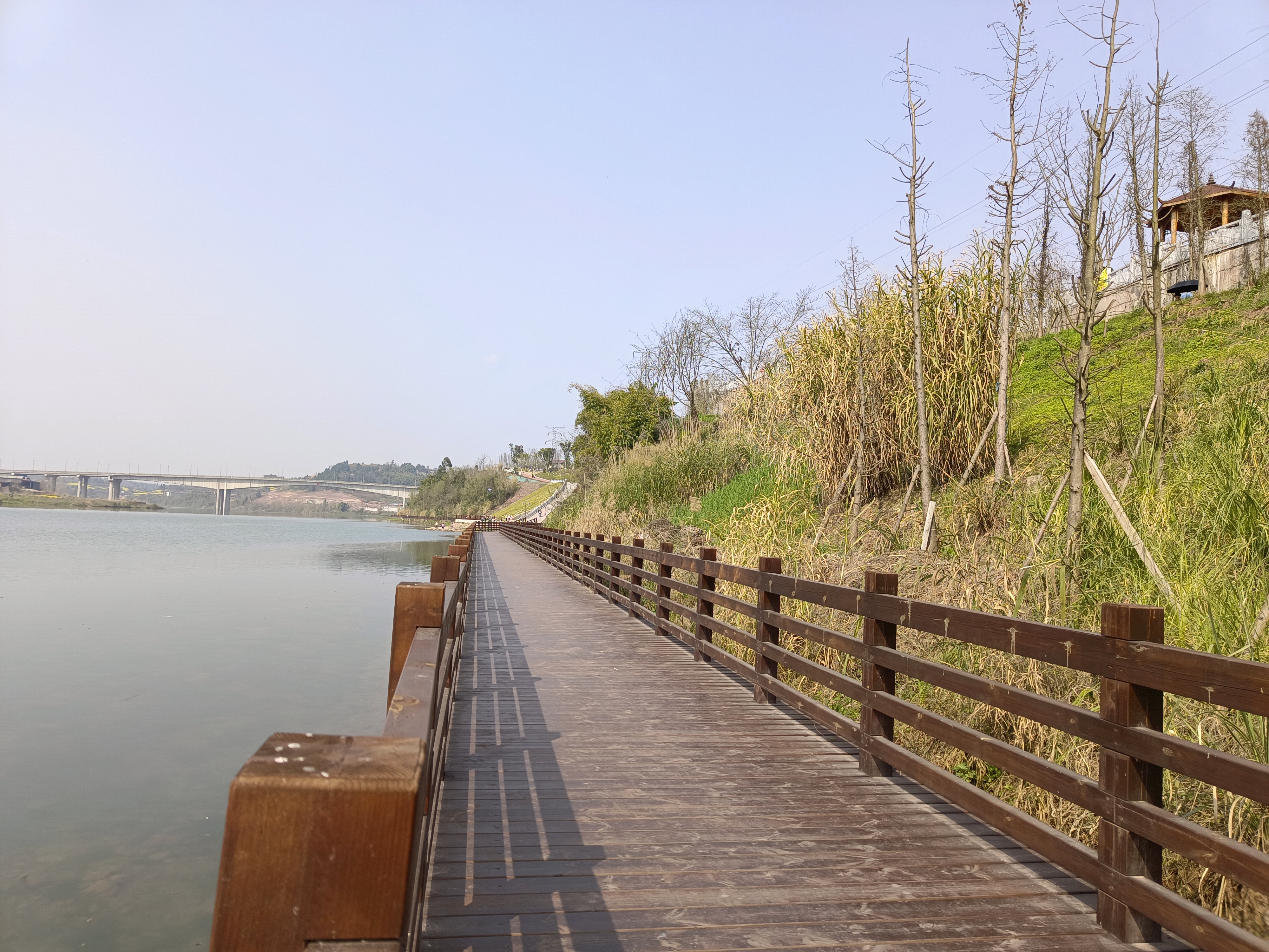 清溪湿地公园旅行图片 2