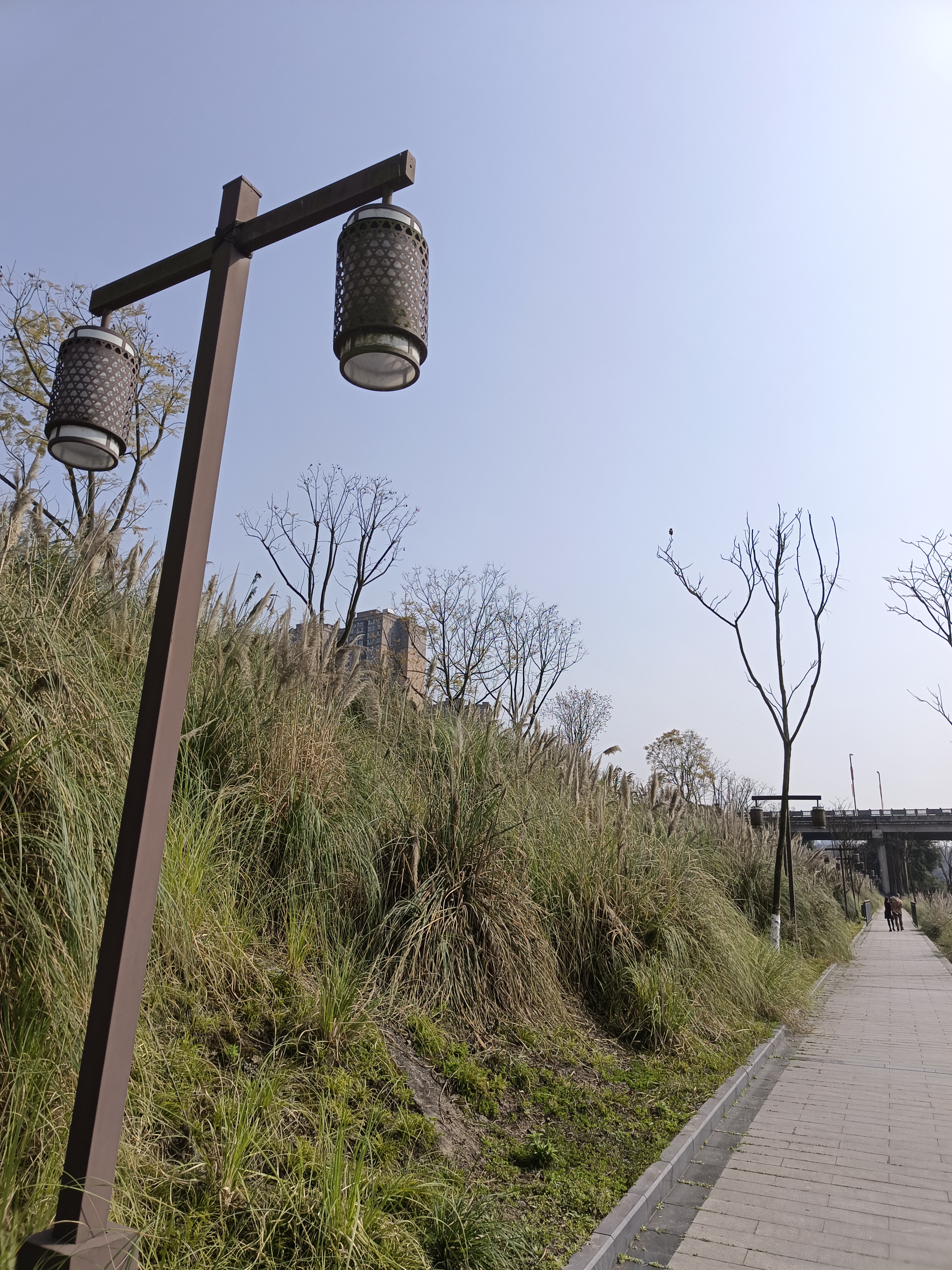 清溪湿地公园旅行图片 1
