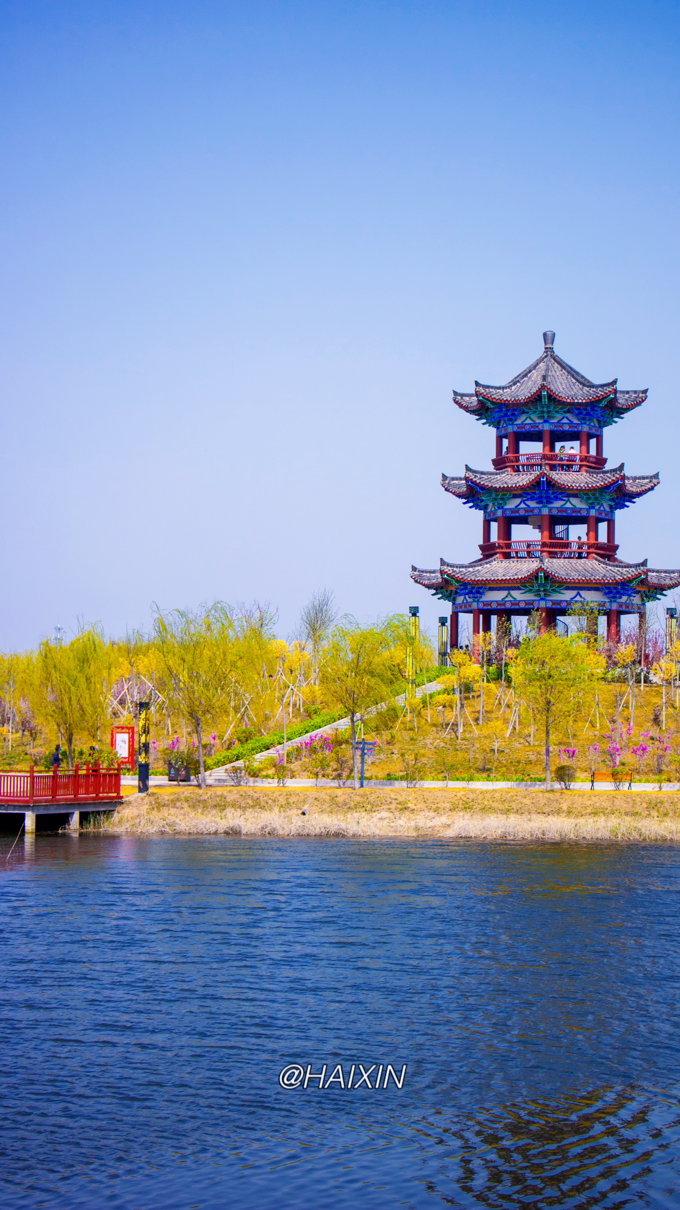 千年枣林游览区旅行图片 3