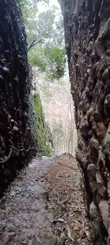 杨三寨风景区旅行图片 1