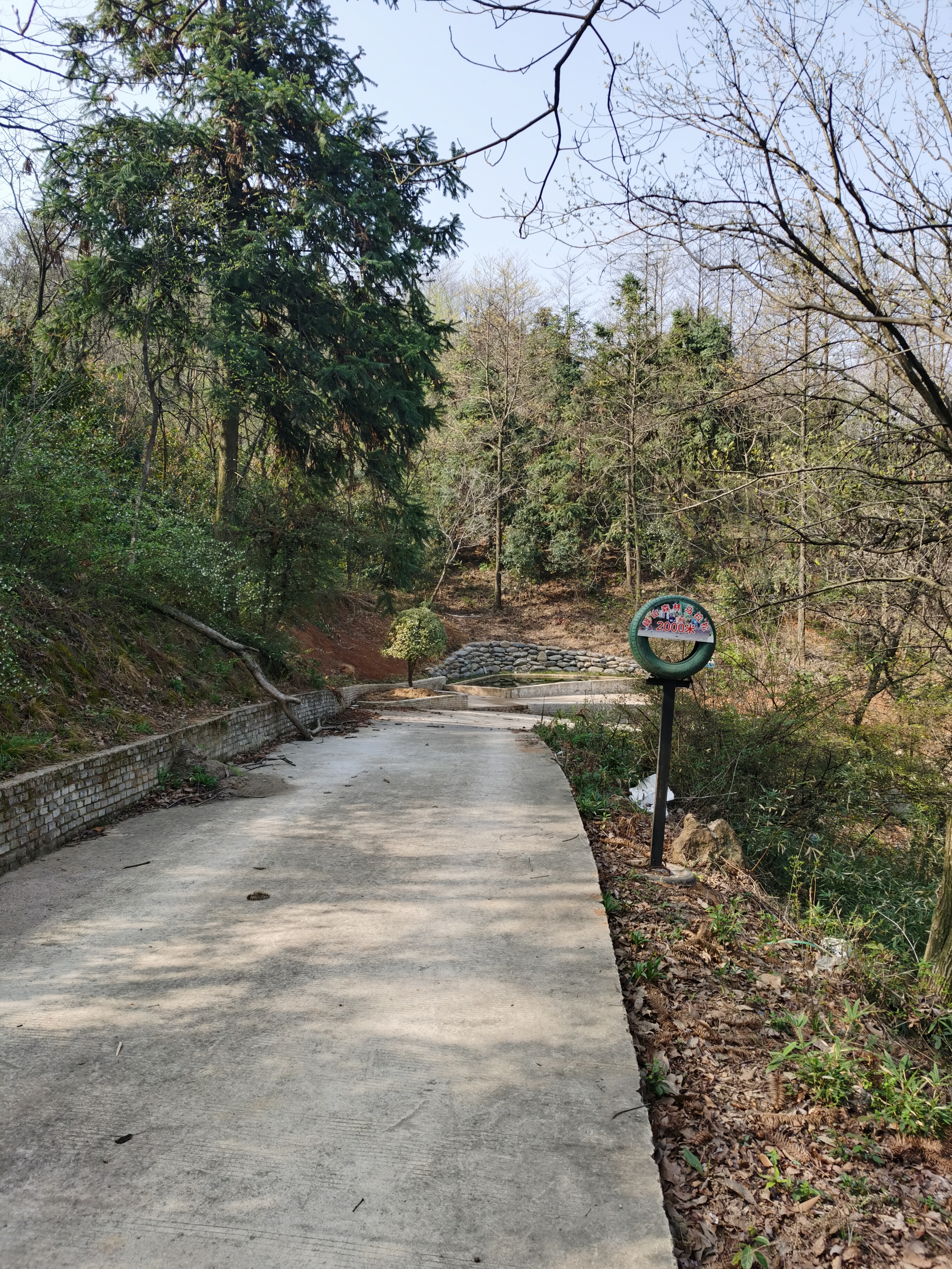 宣城市峄山森林公园