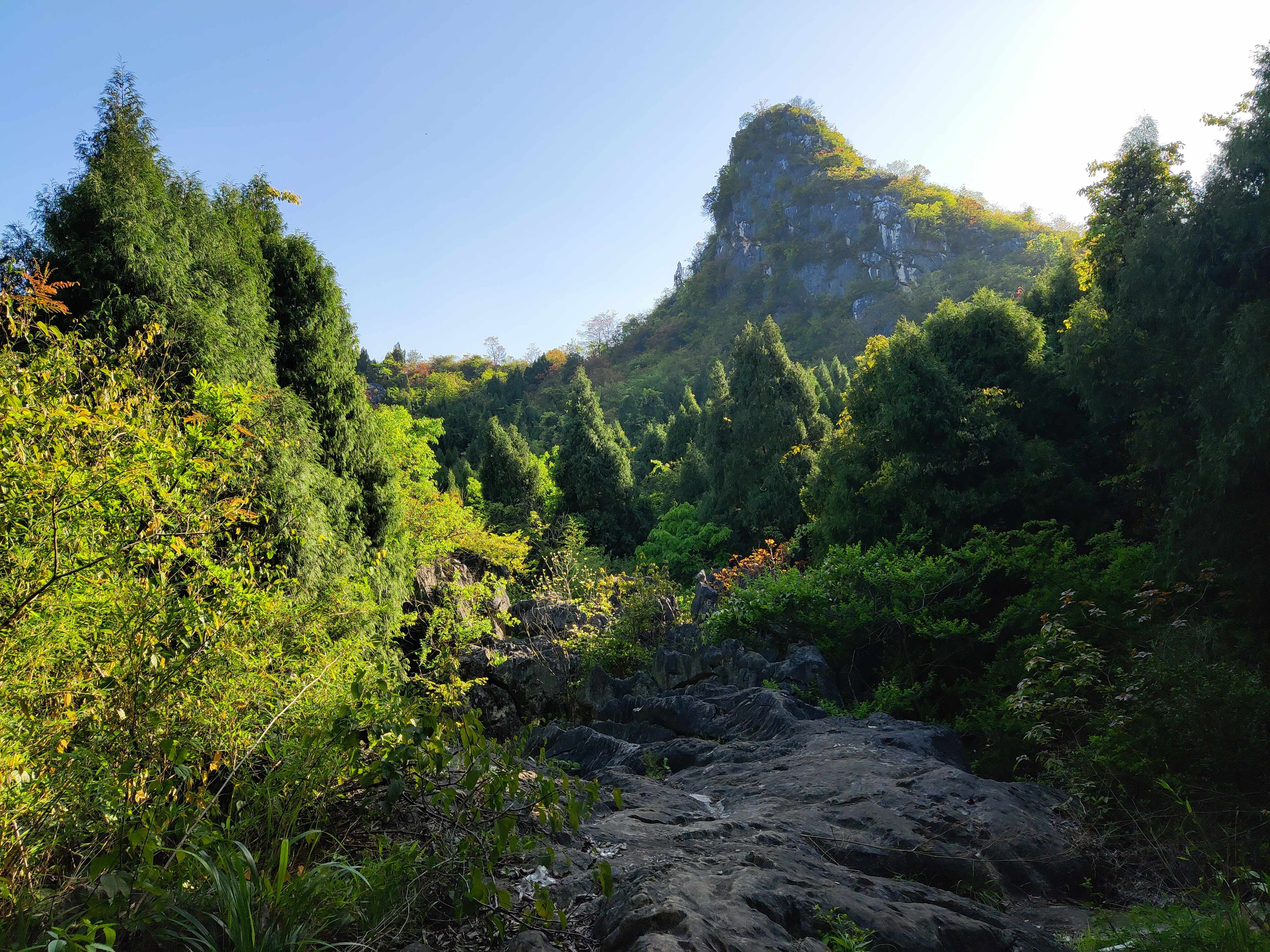 南国武当山旅行图片 3