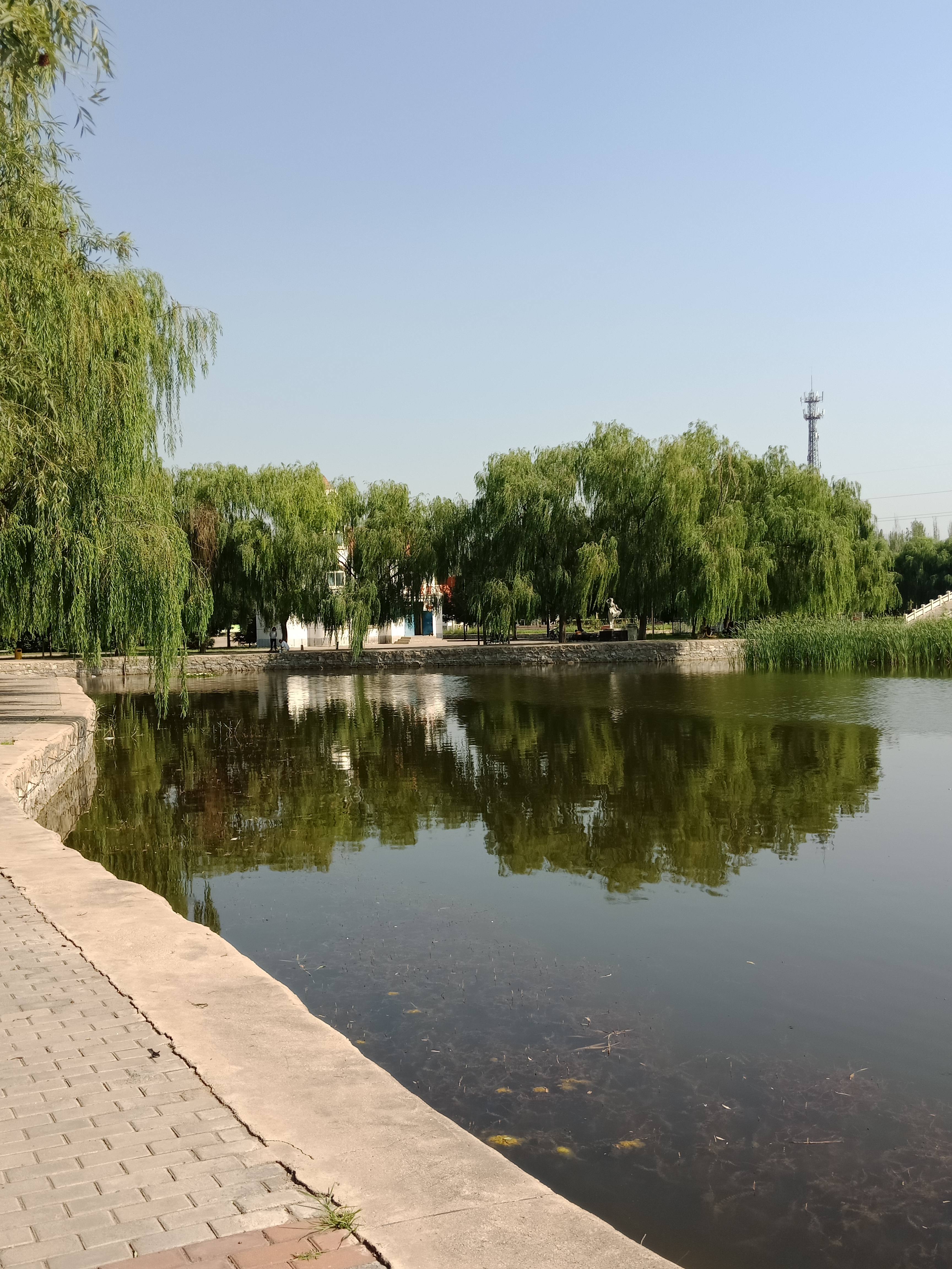 天鹅湖