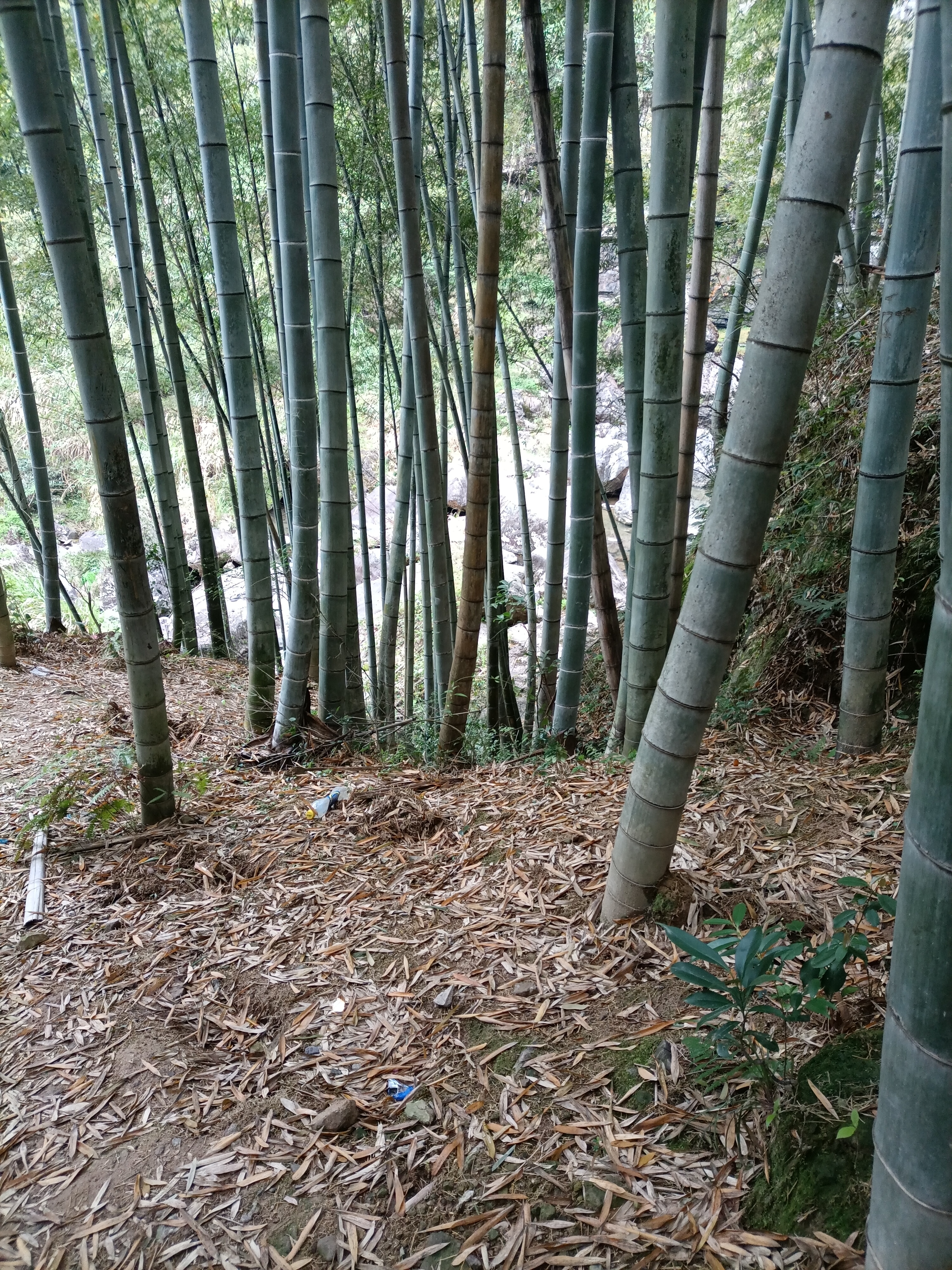马料坑瀑布旅行图片 3
