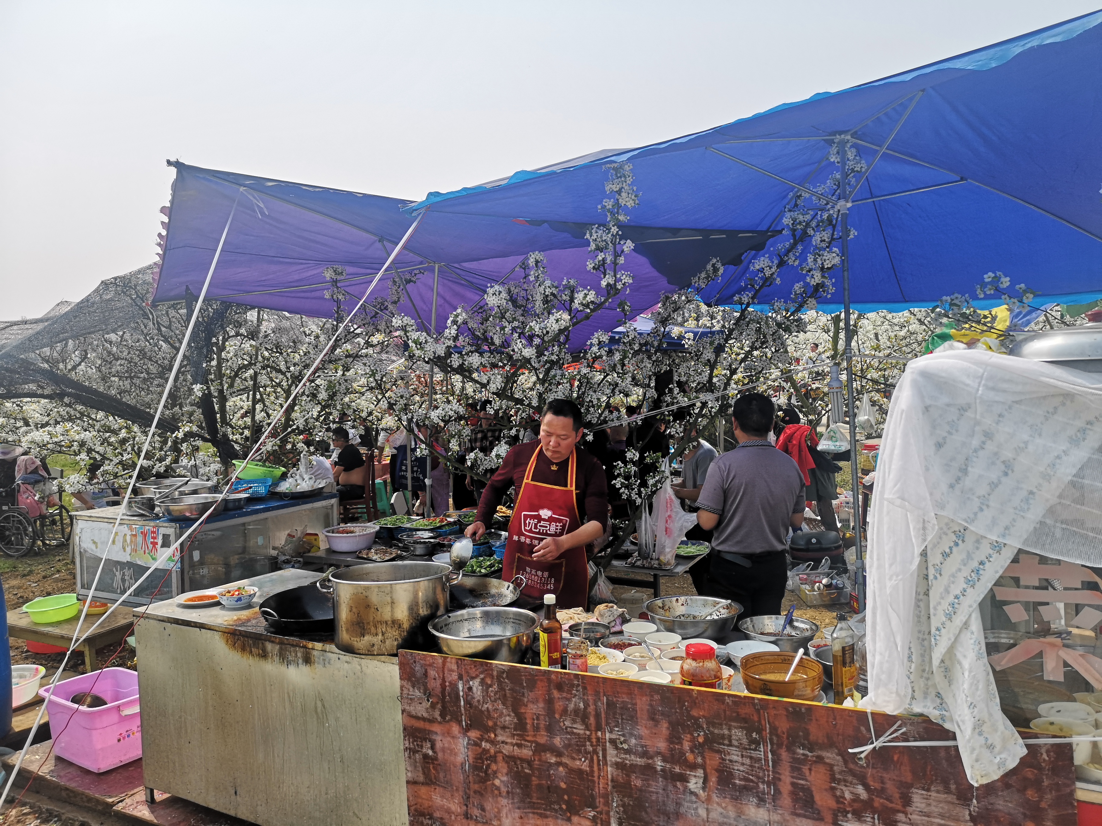 大河村梨花沟旅行图片 3